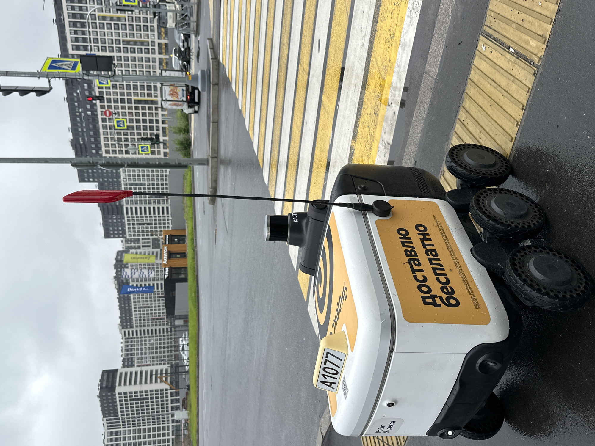 Yandex delivery robot navigates city crosswalks on a rainy day