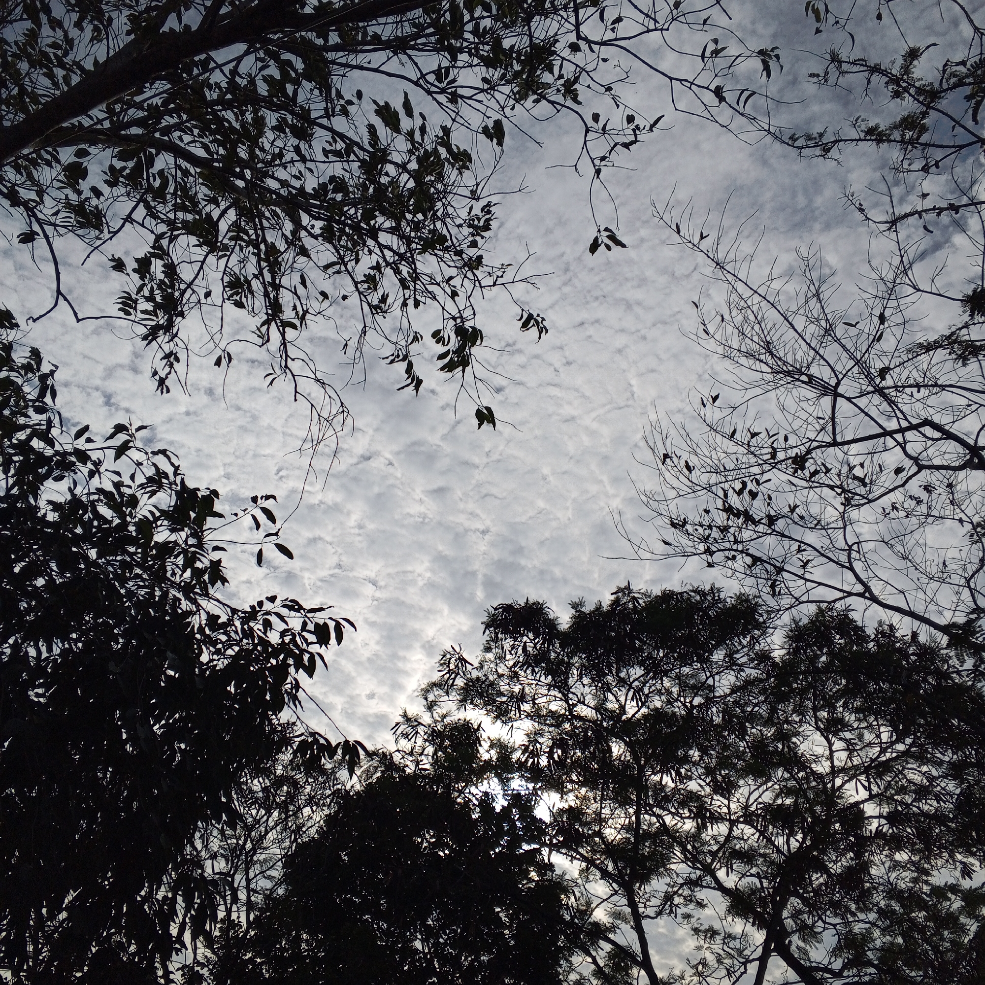 Overcast skies with sun breaking through clouds documented