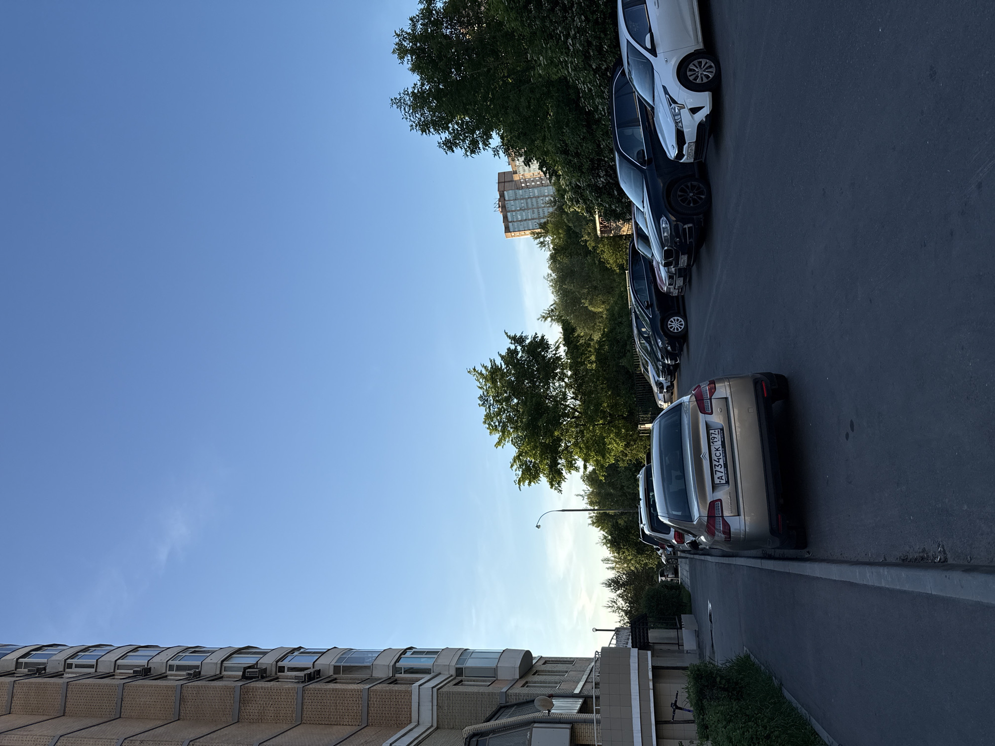 Urban neighborhood with flowering gardens documented during sunny afternoon