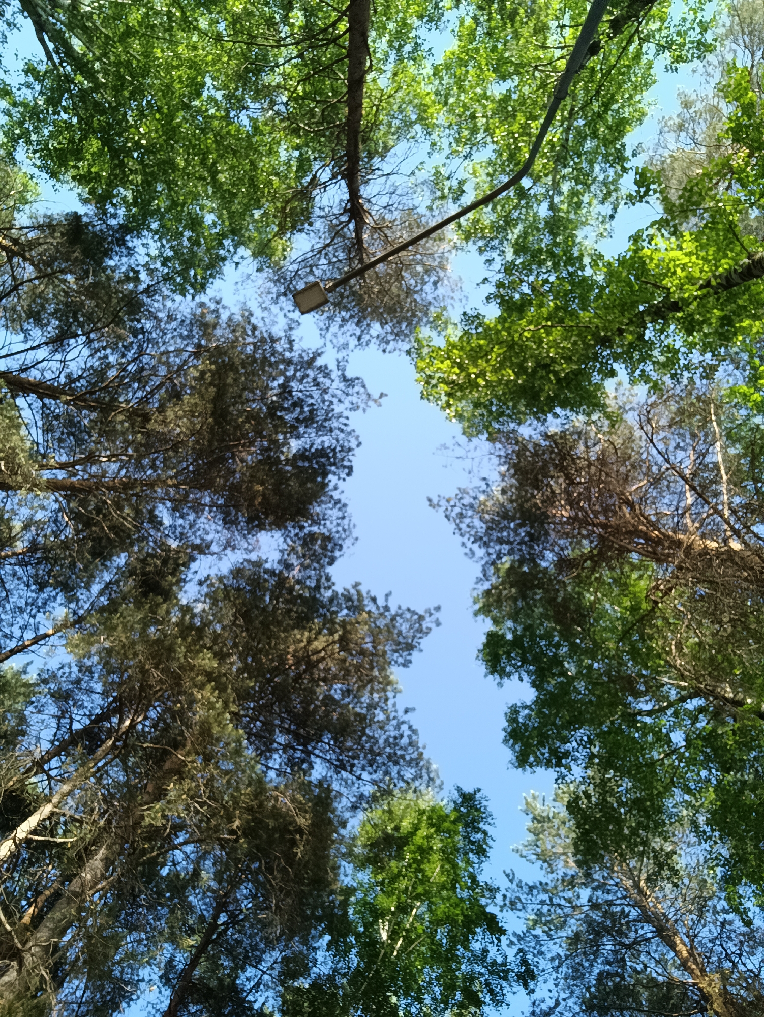 Witnesses document peaceful natural scenes in Chaikovsky, Russia