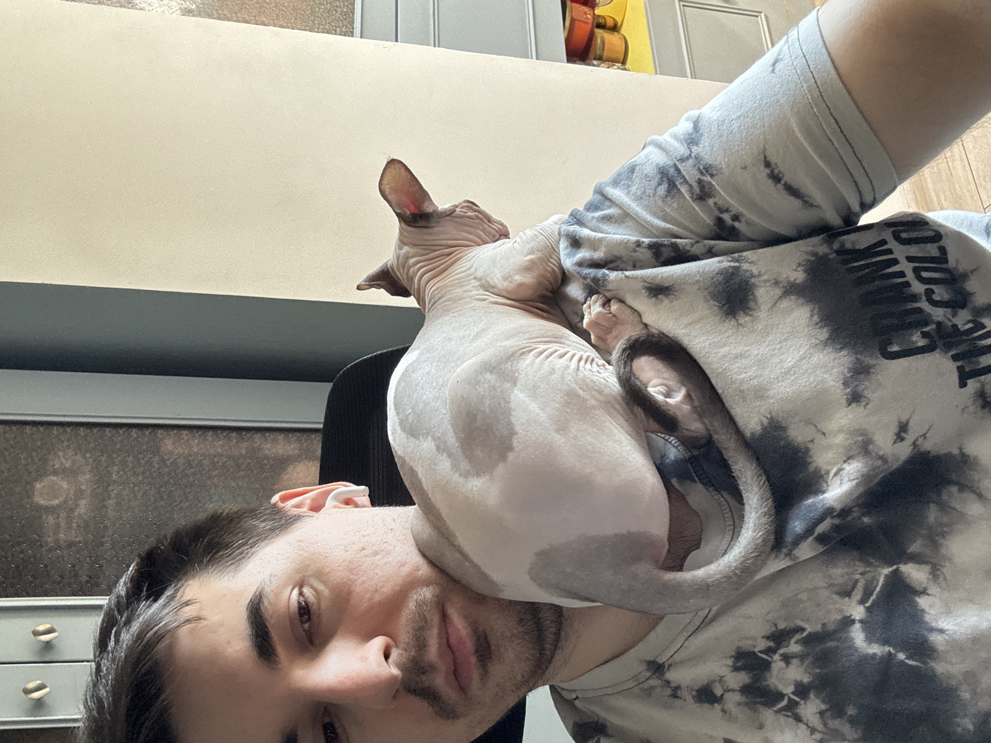 Sphynx cat rules the home in a series of casual moments