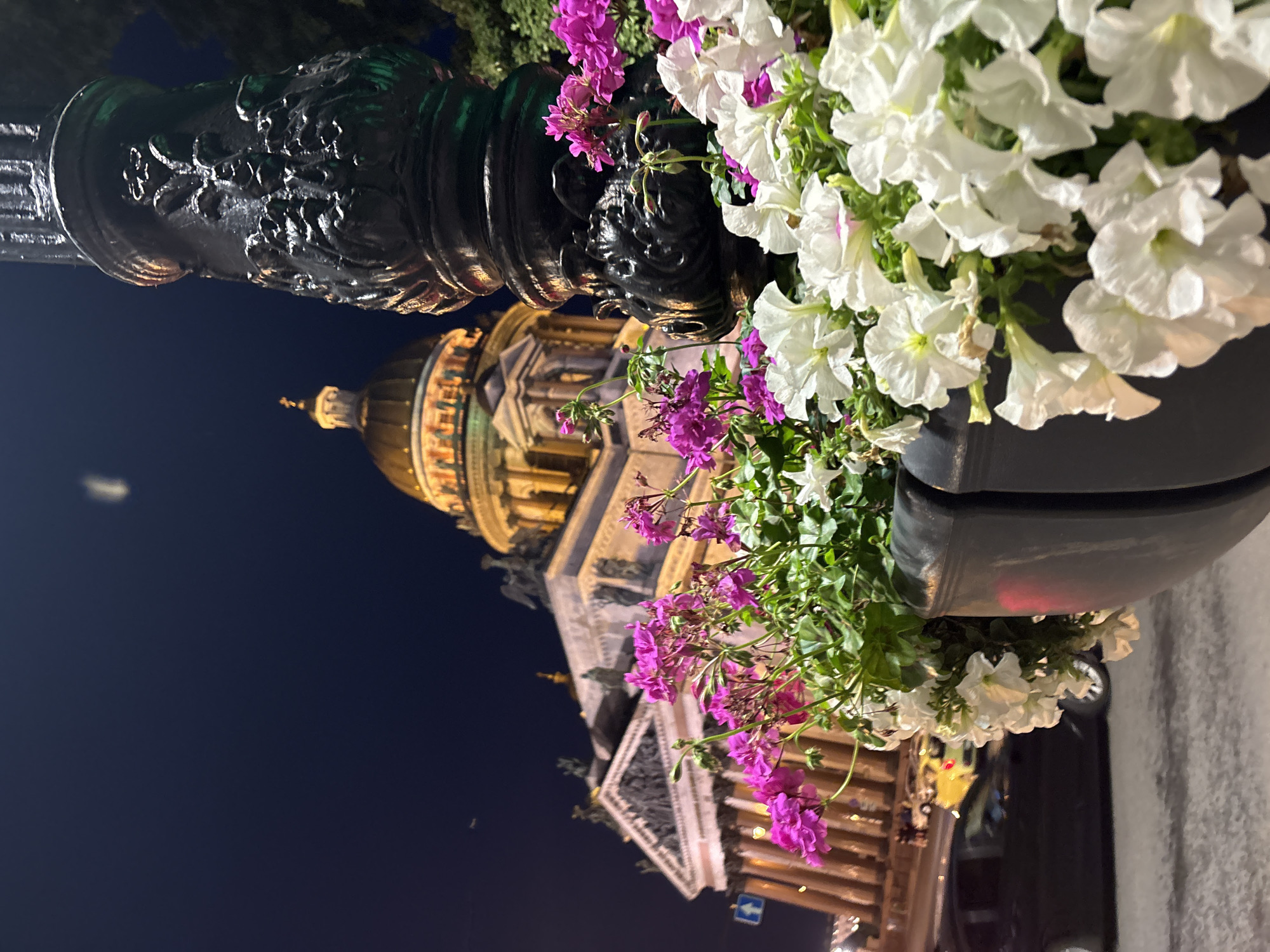 St. Petersburg landmarks and summer flowers on a late July night