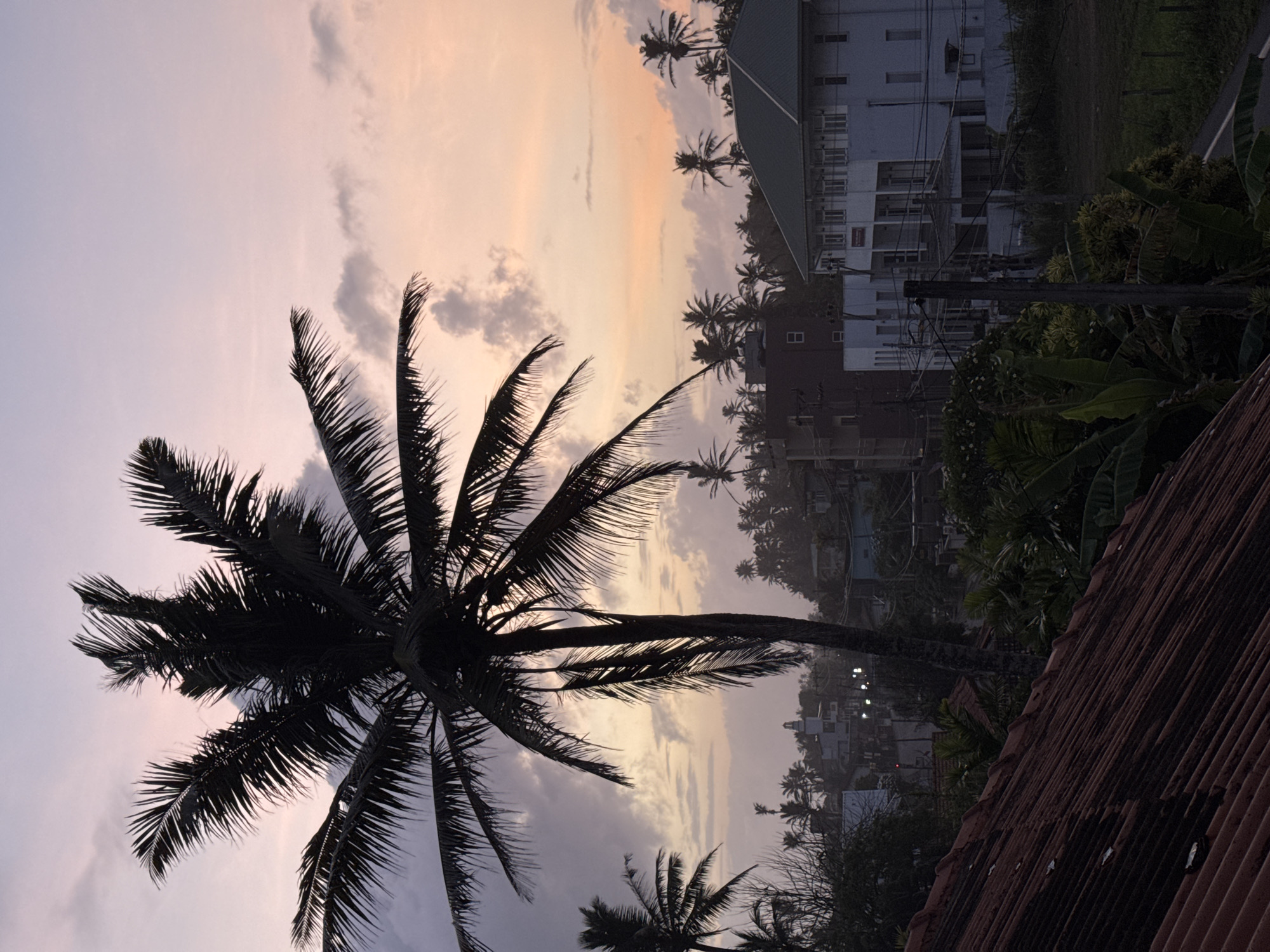 Goviyapana, Sri Lanka