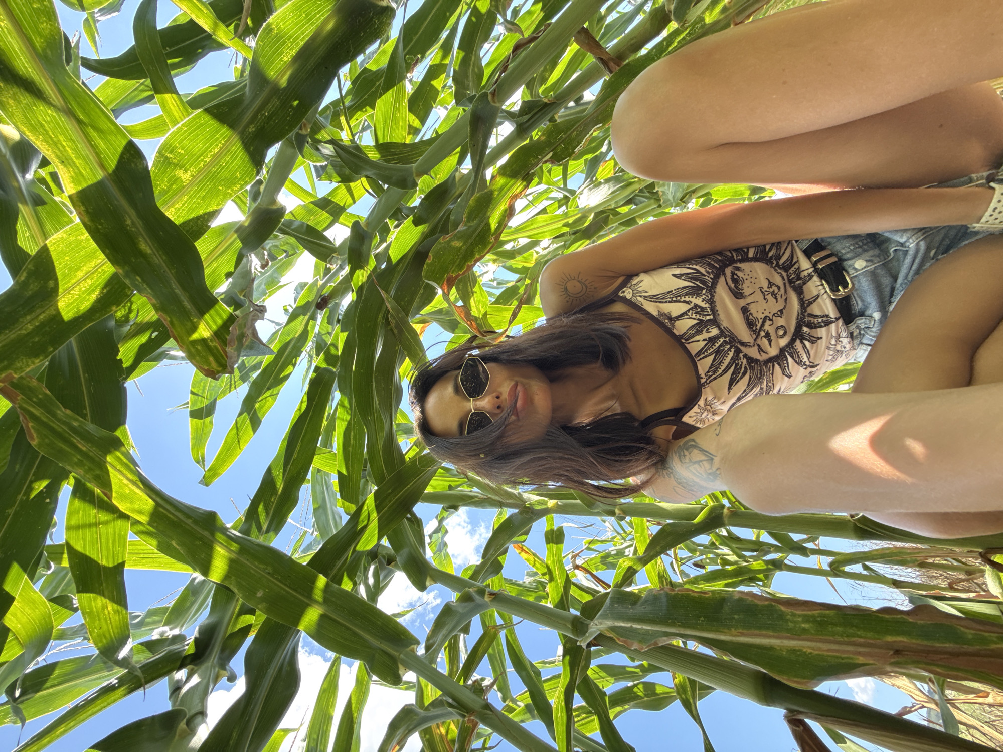 Sunny morning in a Bulgarian cornfield, posing and landscapes