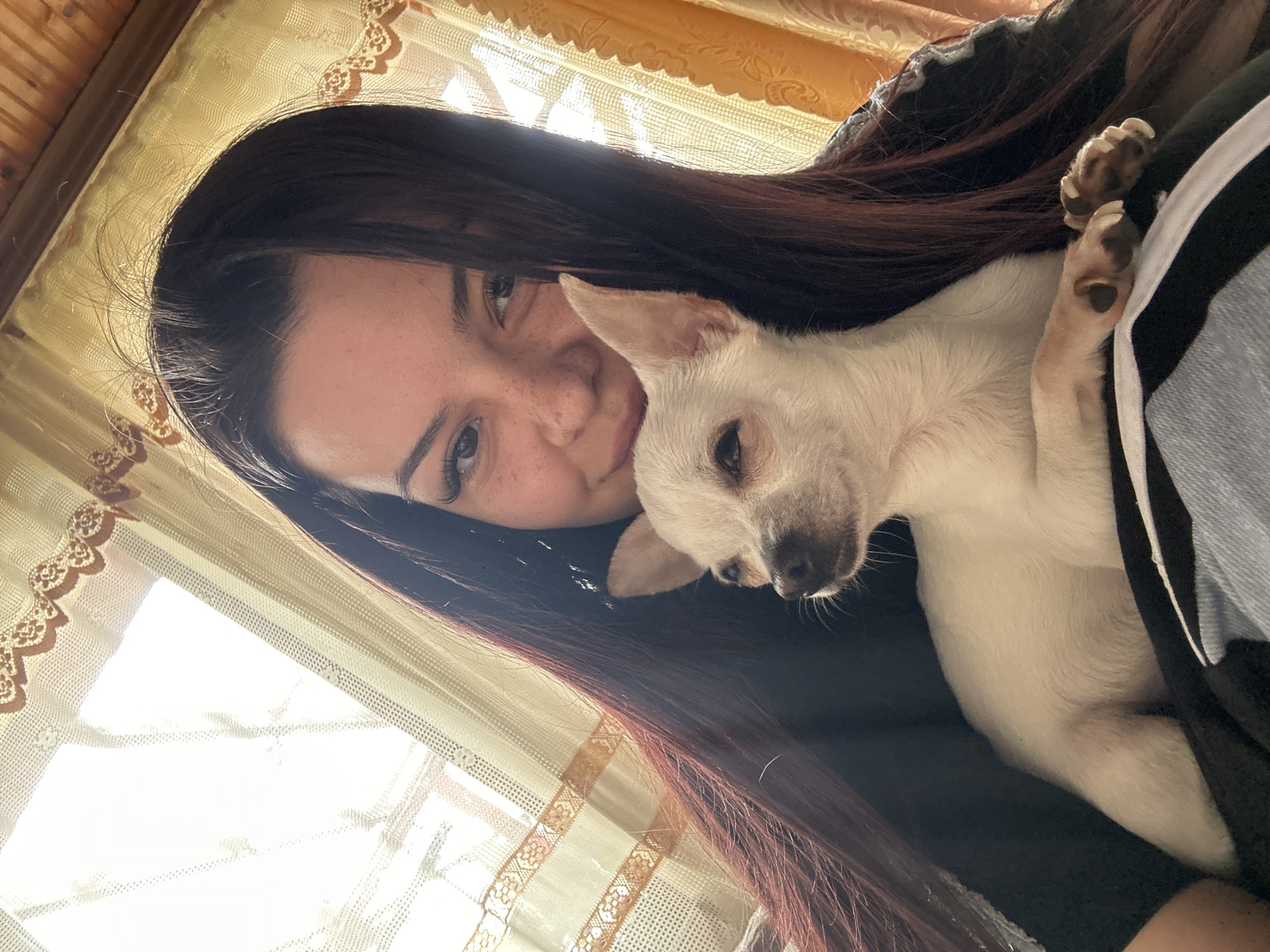 Woman poses with white Chihuahua in Bulgarian home