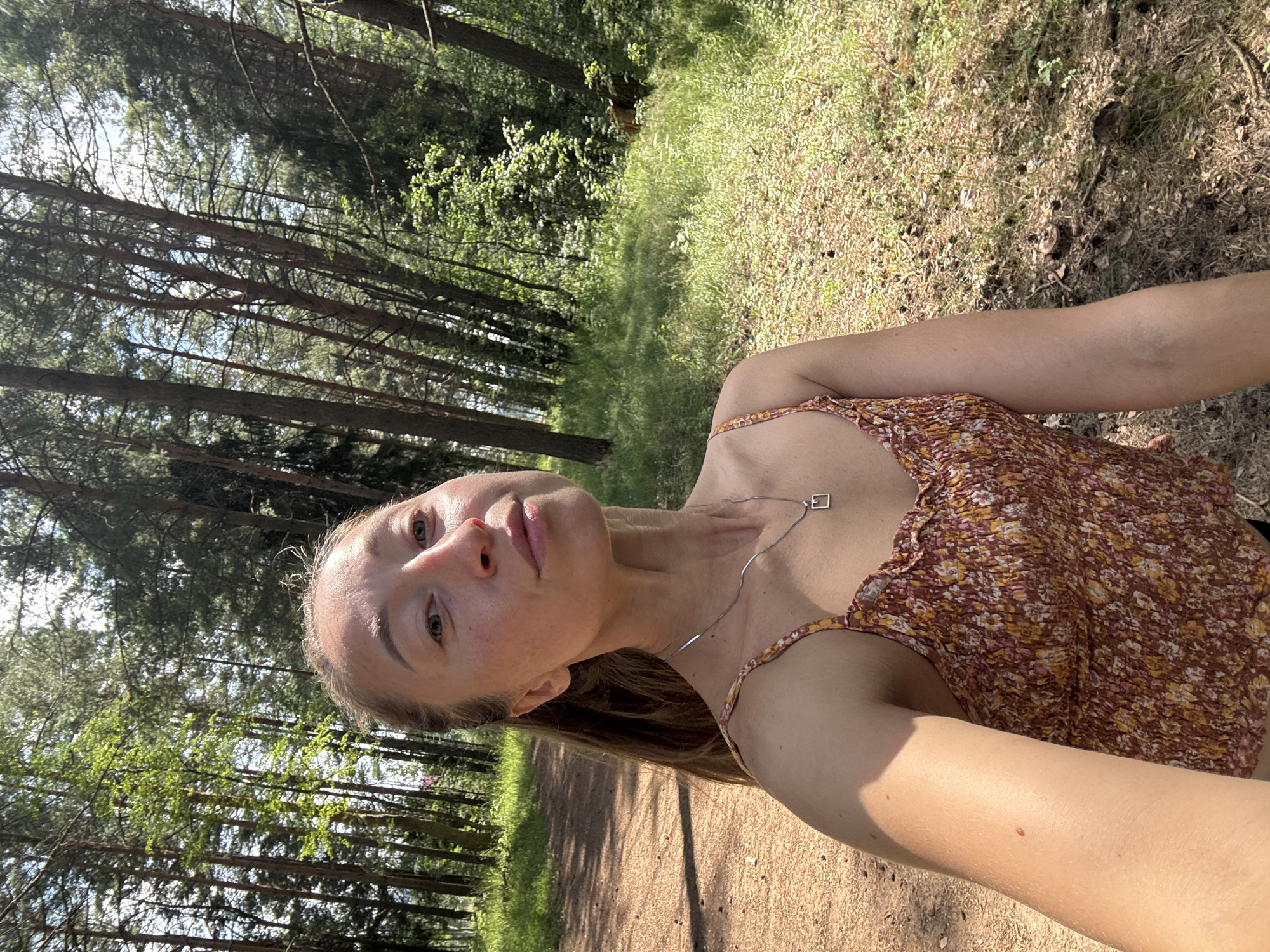 Afternoon walk with a dog through a pine forest near Perm