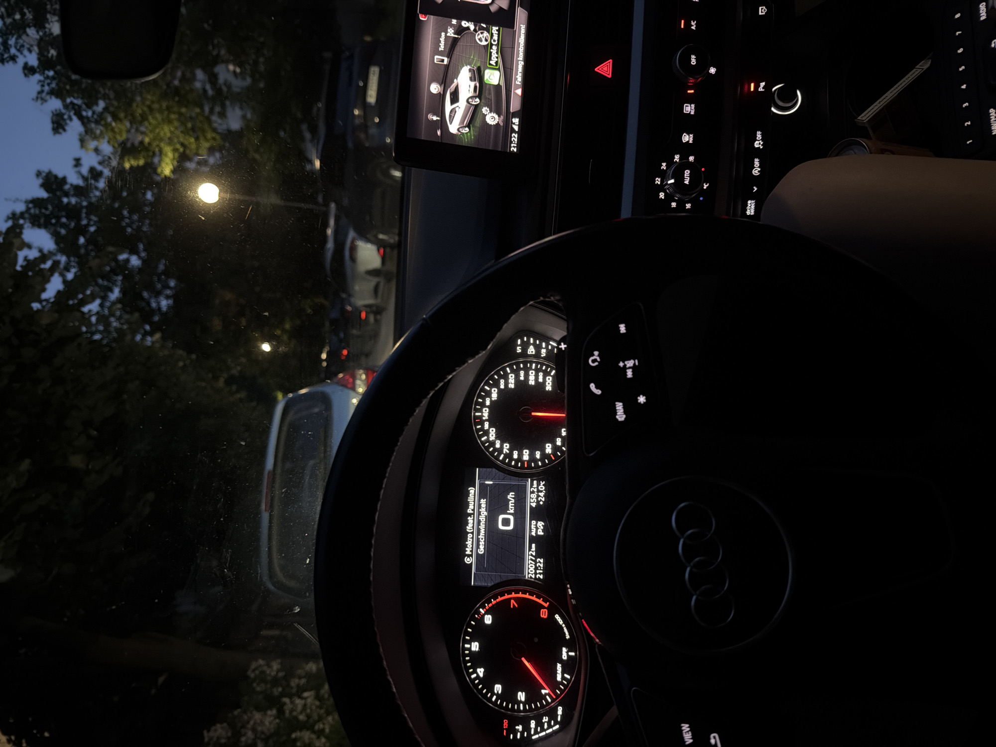 Evening car interior moments captured with French Bulldog in Ruse