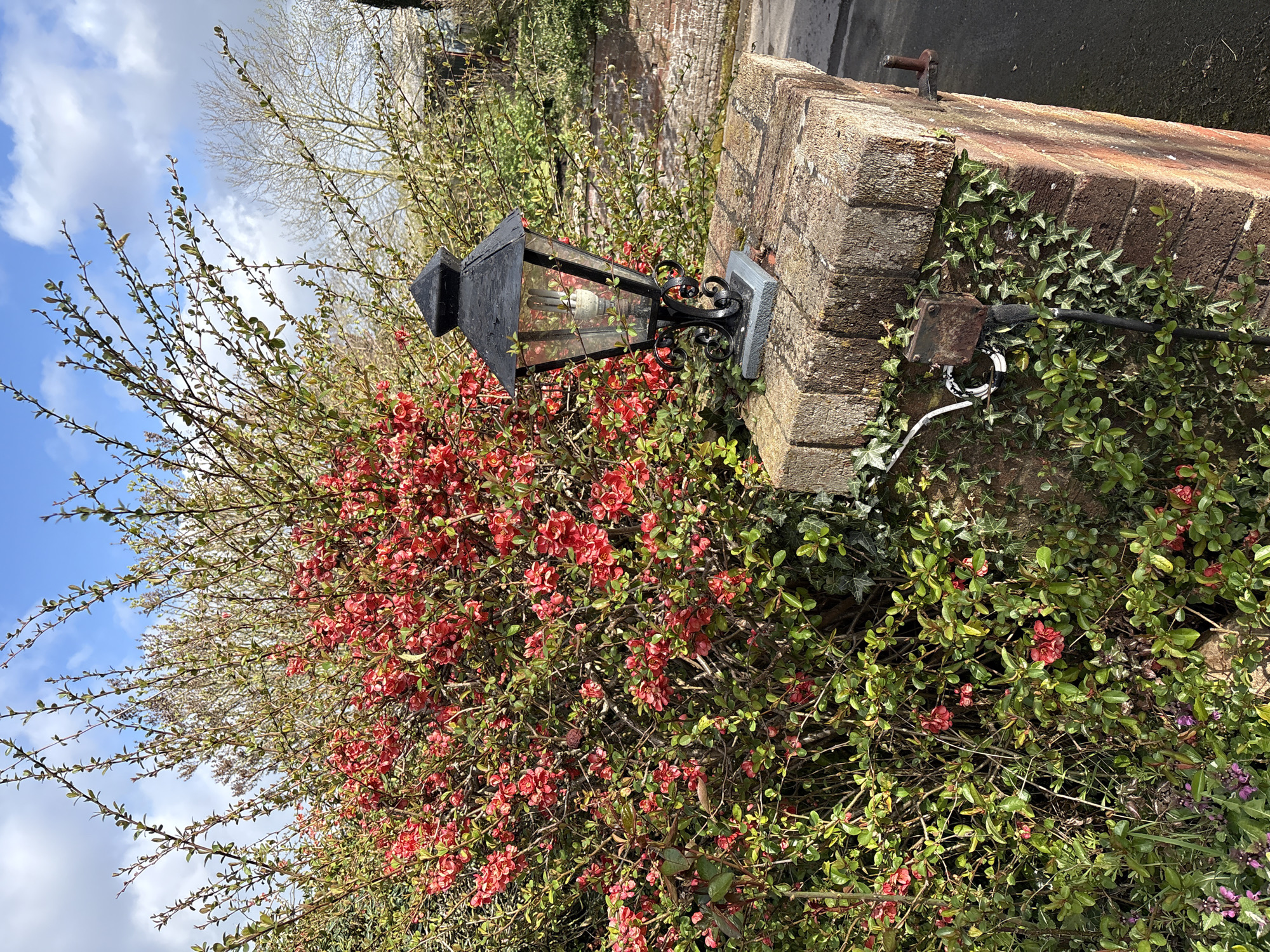Garden scenes documented in Longden featuring decorative landscaping elements
