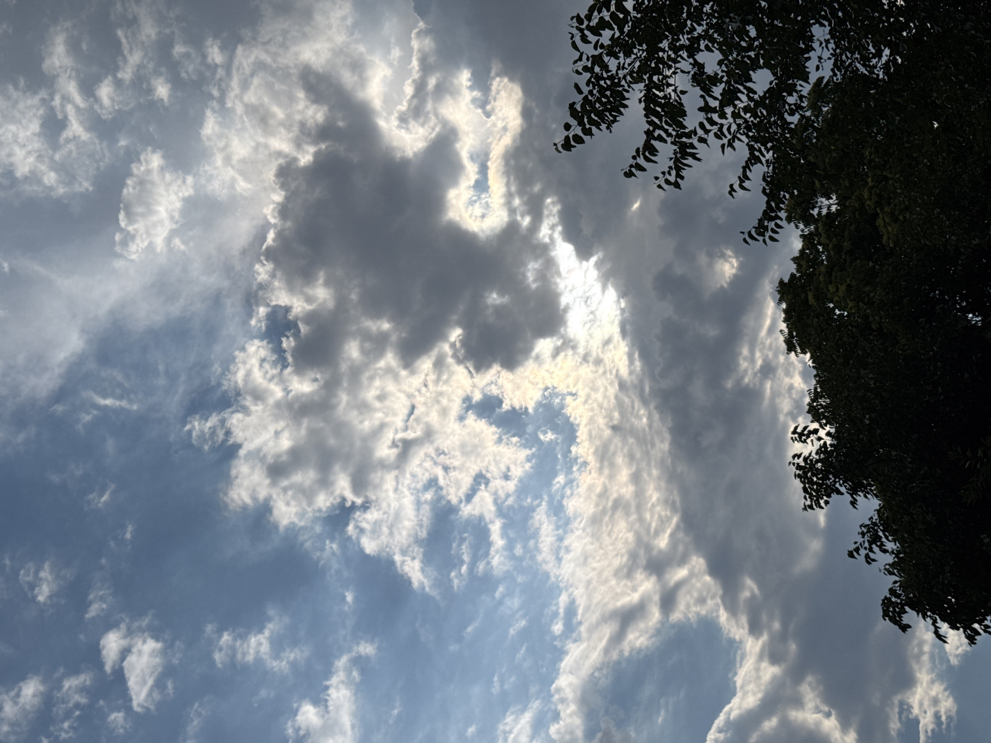 Partly cloudy sky breaks over treetops in Plovdiv
