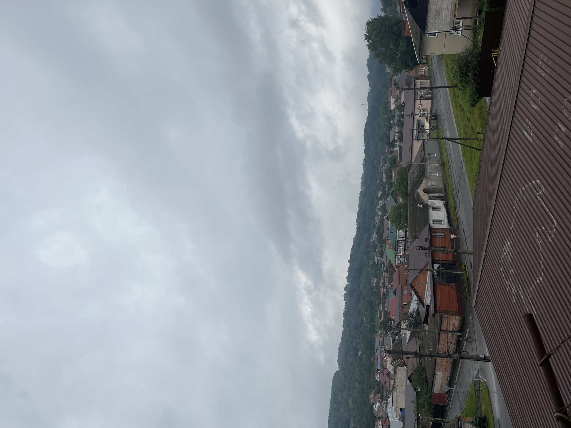 Dense hillside neighborhood under grey skies, two angles