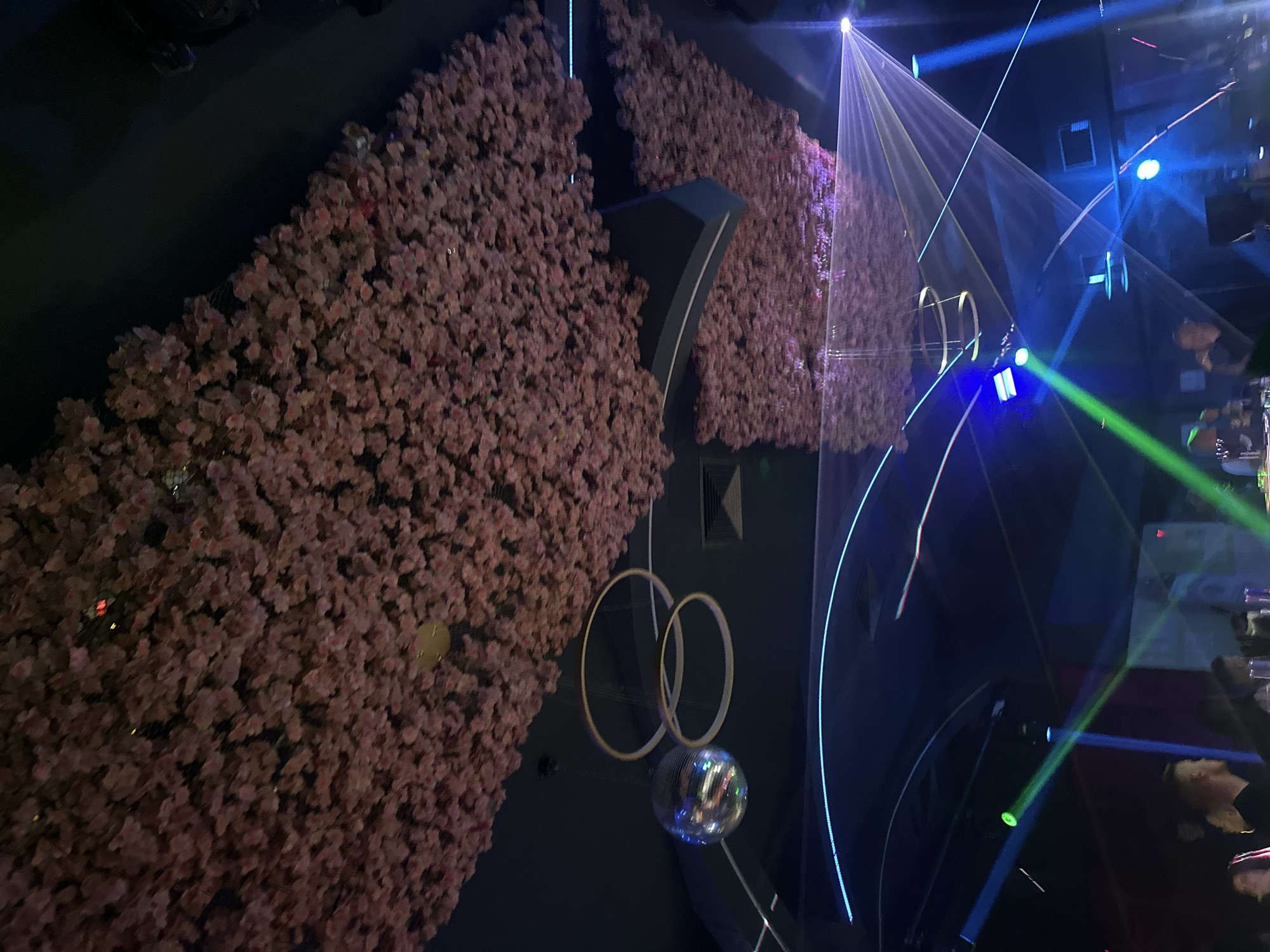 Interior with floral wall and curved lighting documented in Sliven