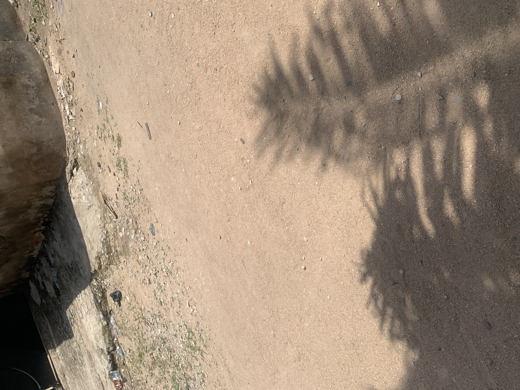 Midday scenes across Jalingo's campus and residential streets