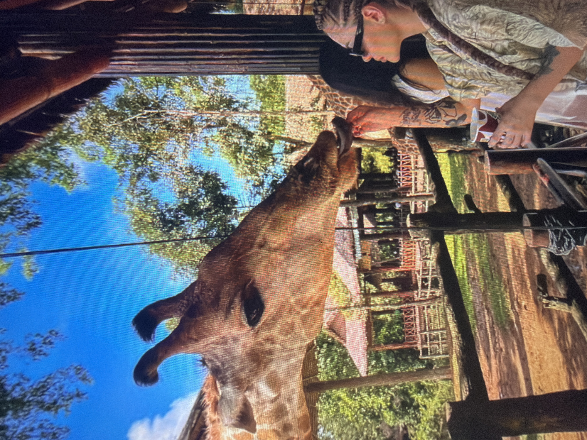 Families enjoy animal encounters at Shumen safari park