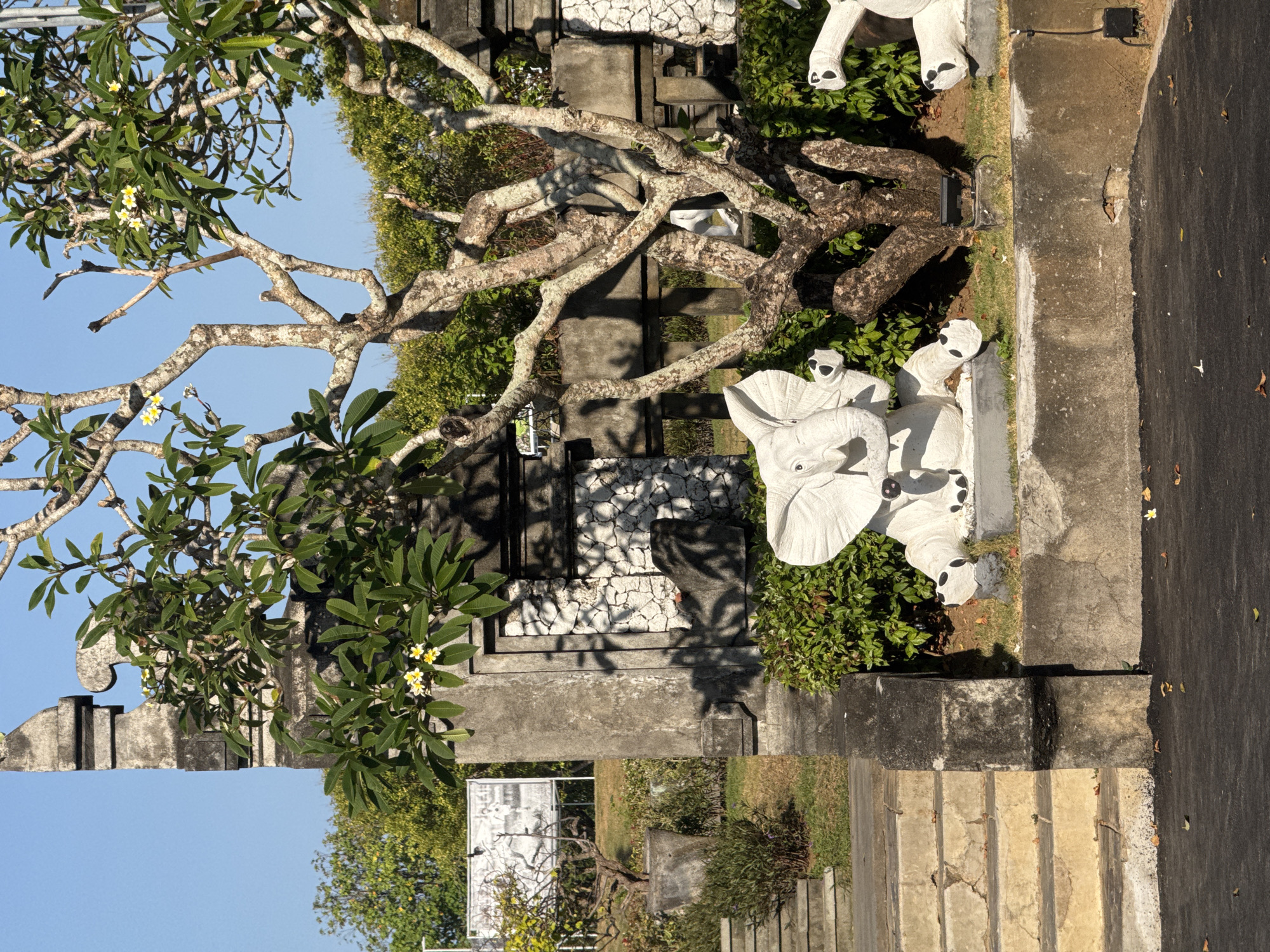 Cycling through a tropical park in Kuta Selatan, Bali