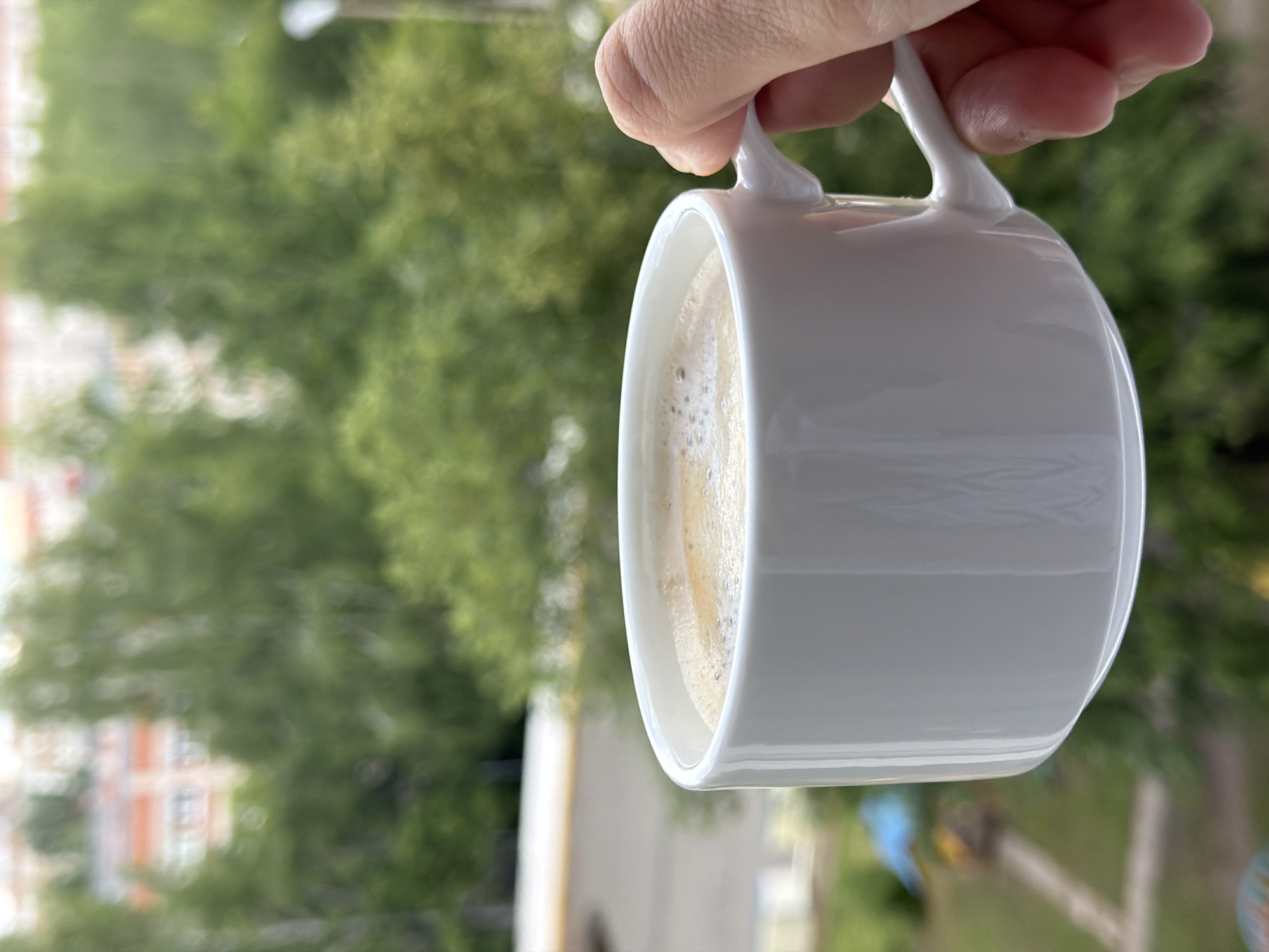 Lazy Izhevsk morning: sphynx cat, fresh coffee, breakfast spread