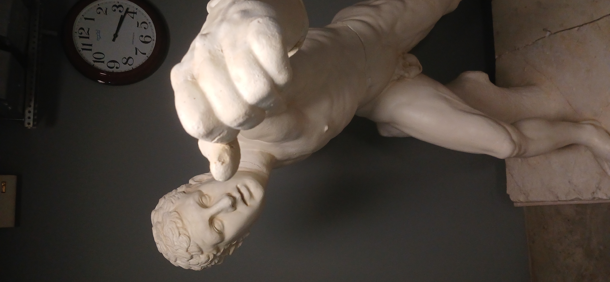 Anatomical displays documented at Moscow indoor location