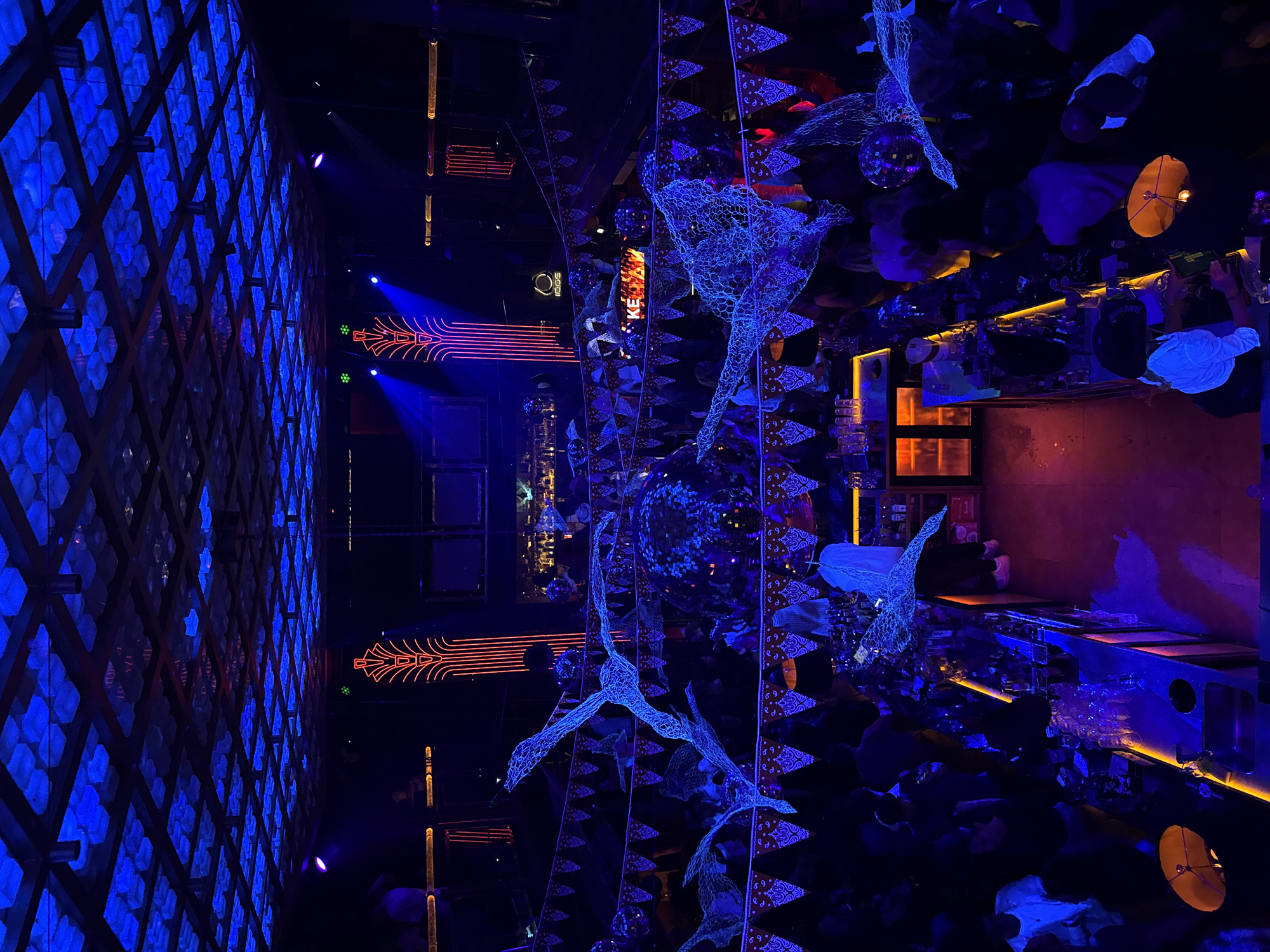 Late night dancing scene captured at Sofia nightclub