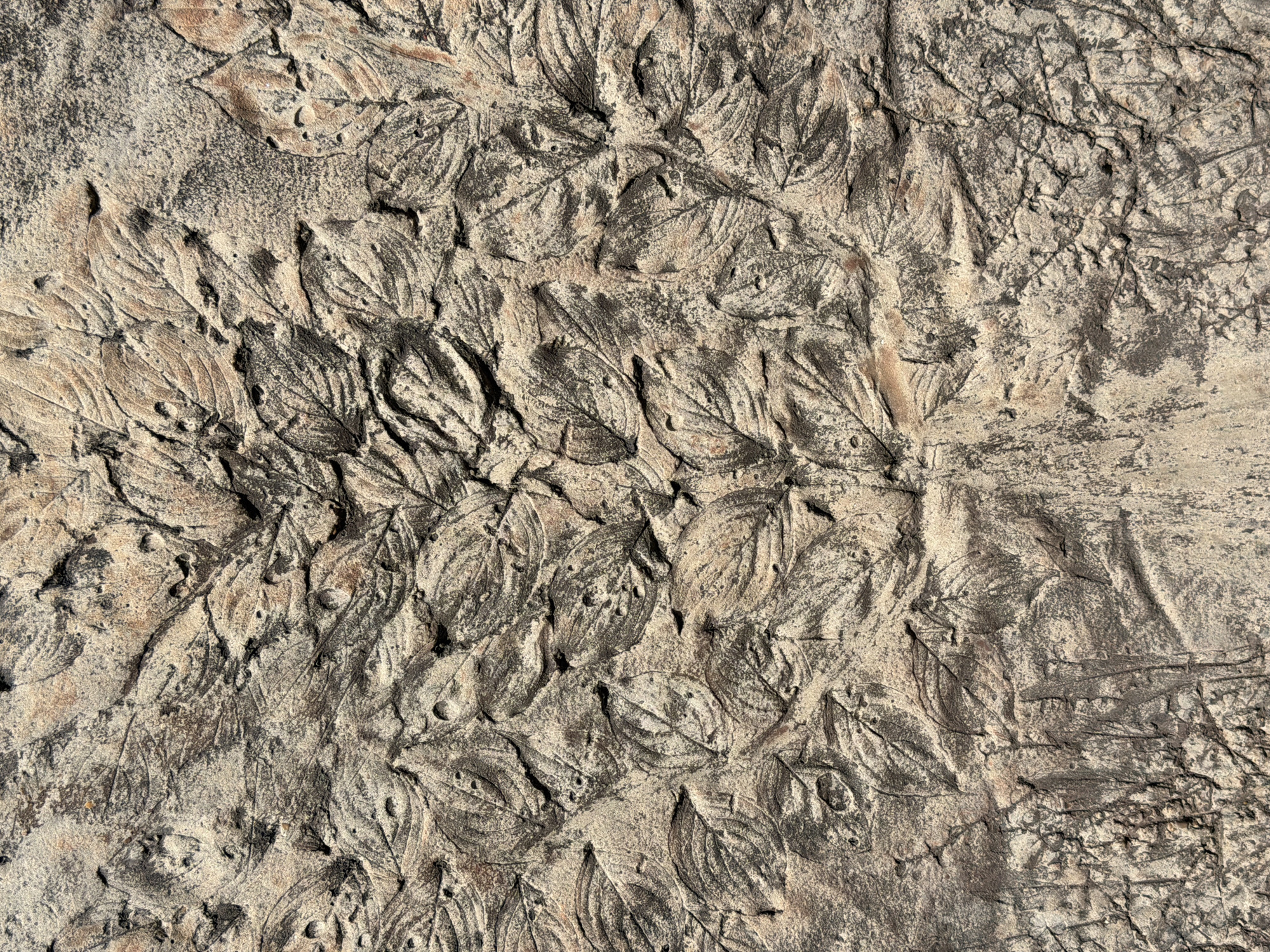 Tourist documents street scenes and textures in Tarquinia, Italy