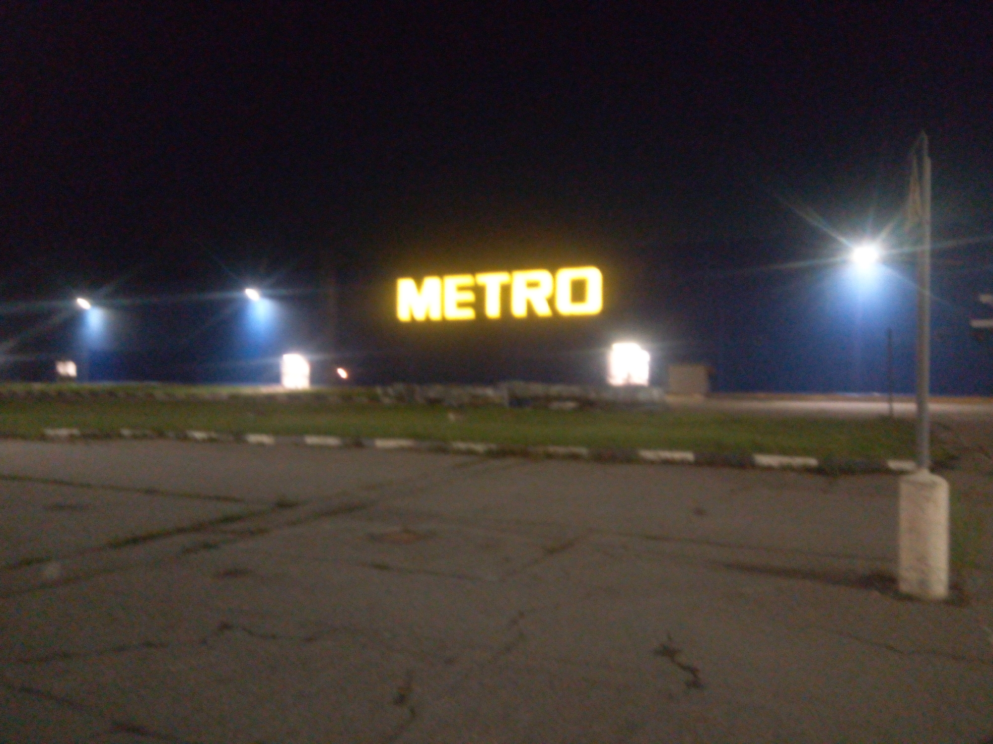 Night out in Kommunarka: metro signs, roads, and roadside wildflowers