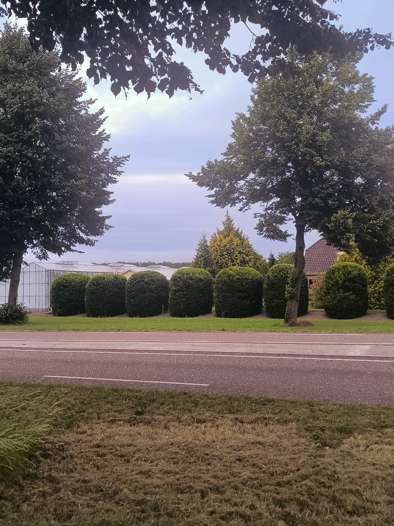Almere suburbs and greenhouses on a July evening
