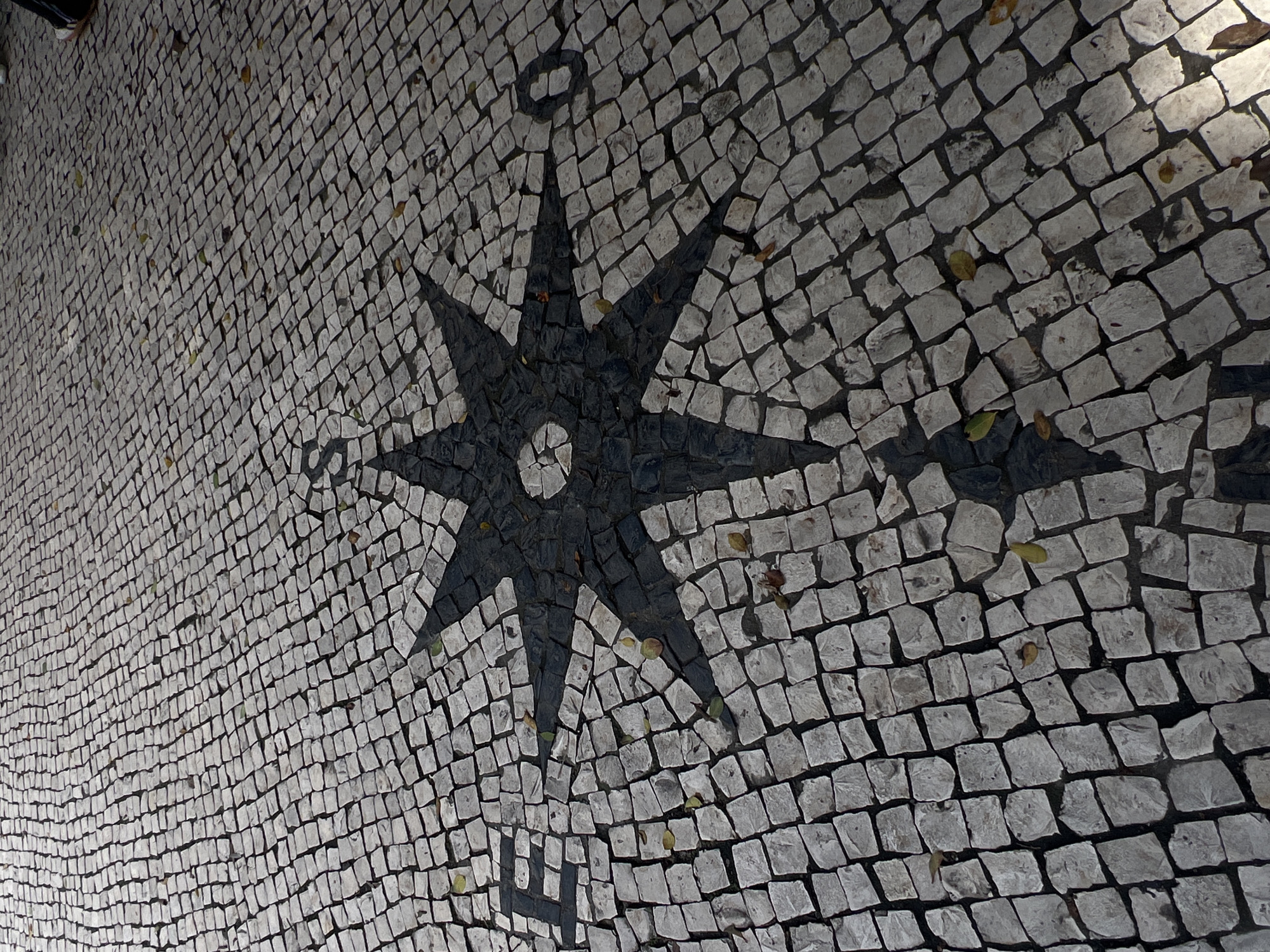 Morning street scenes documented across Macau's historic districts