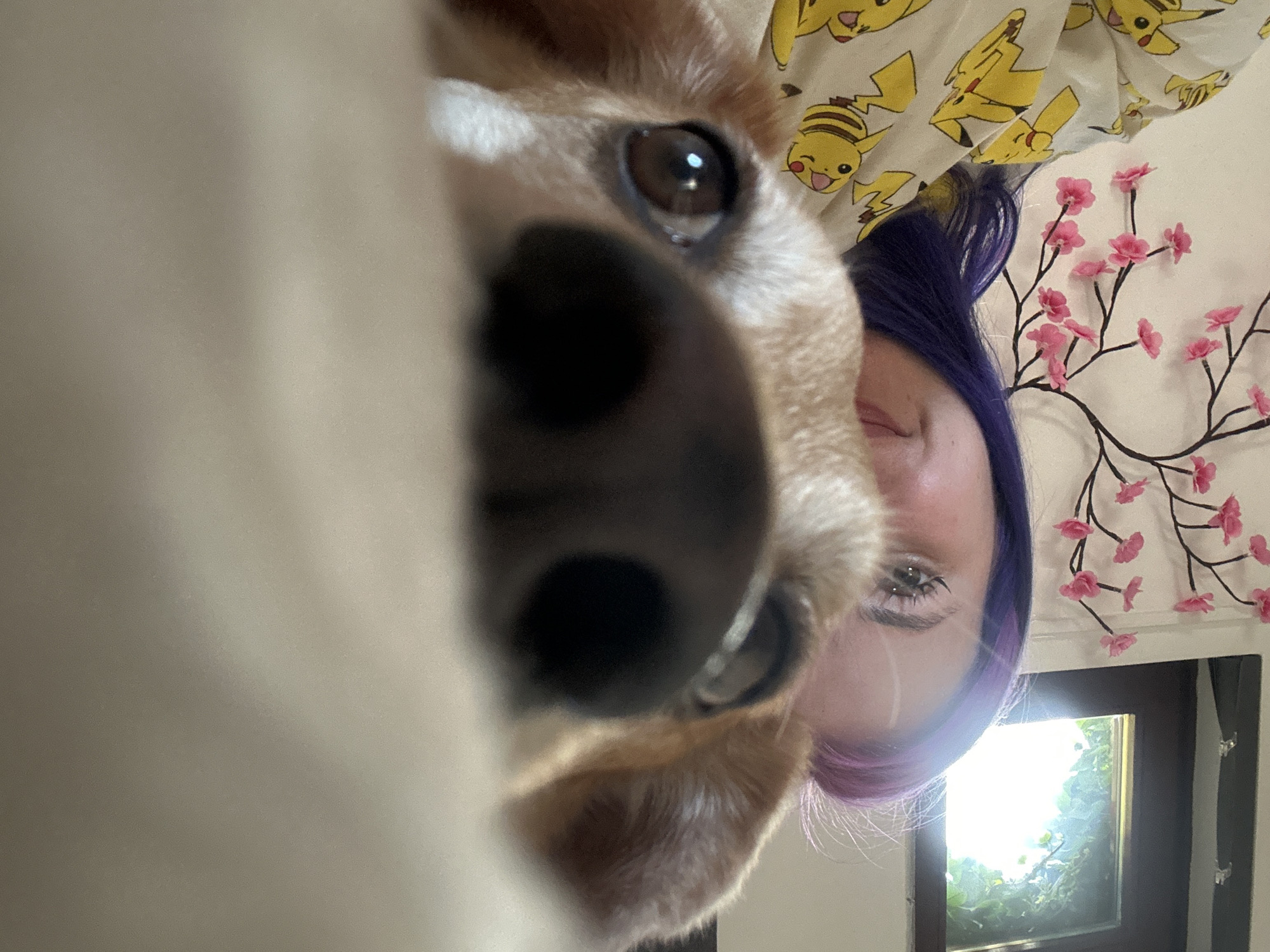 Person and dog take selfies together in Zagreb