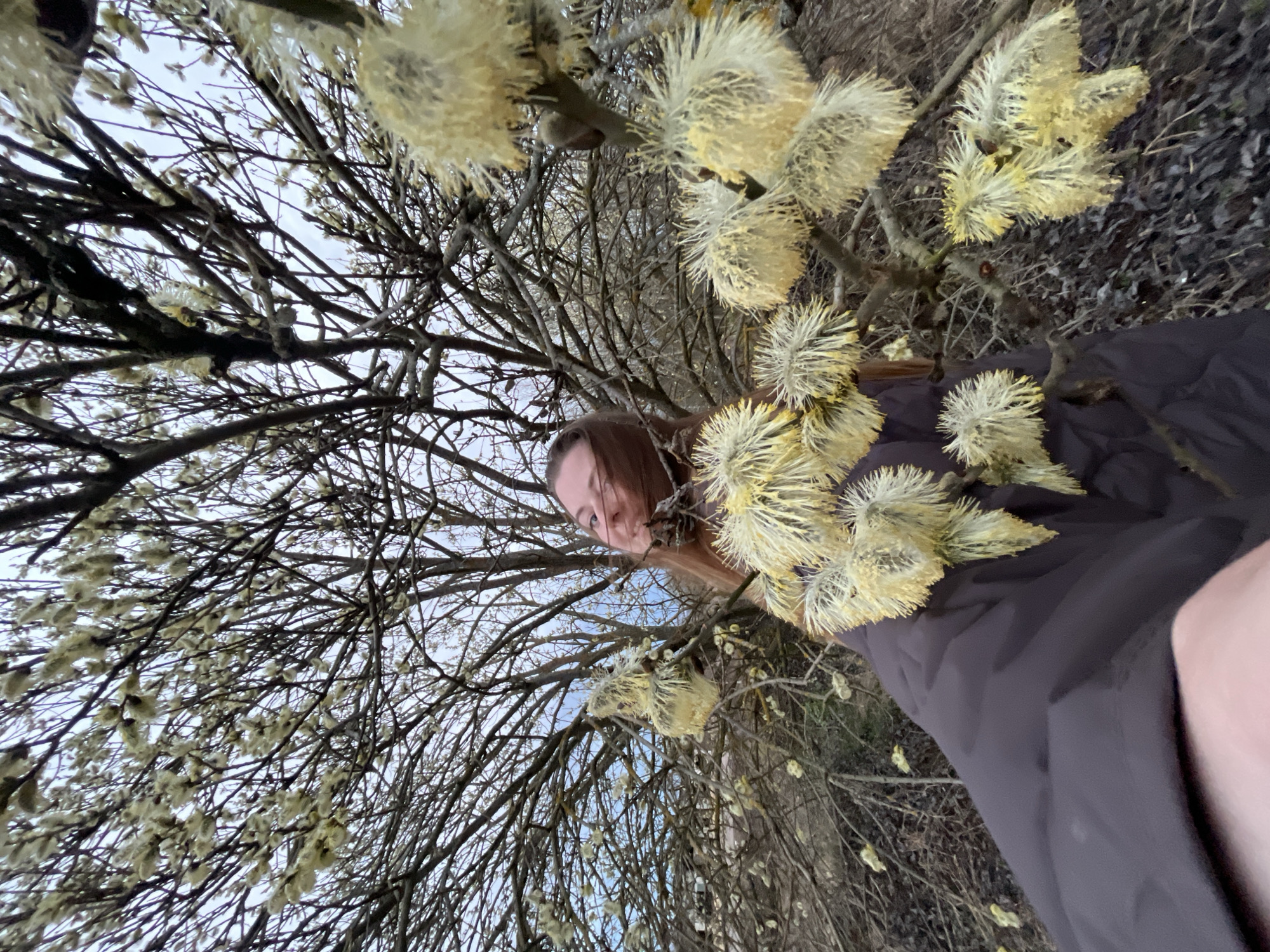 Woman photographs spring blooms in Razdol'e, Russia