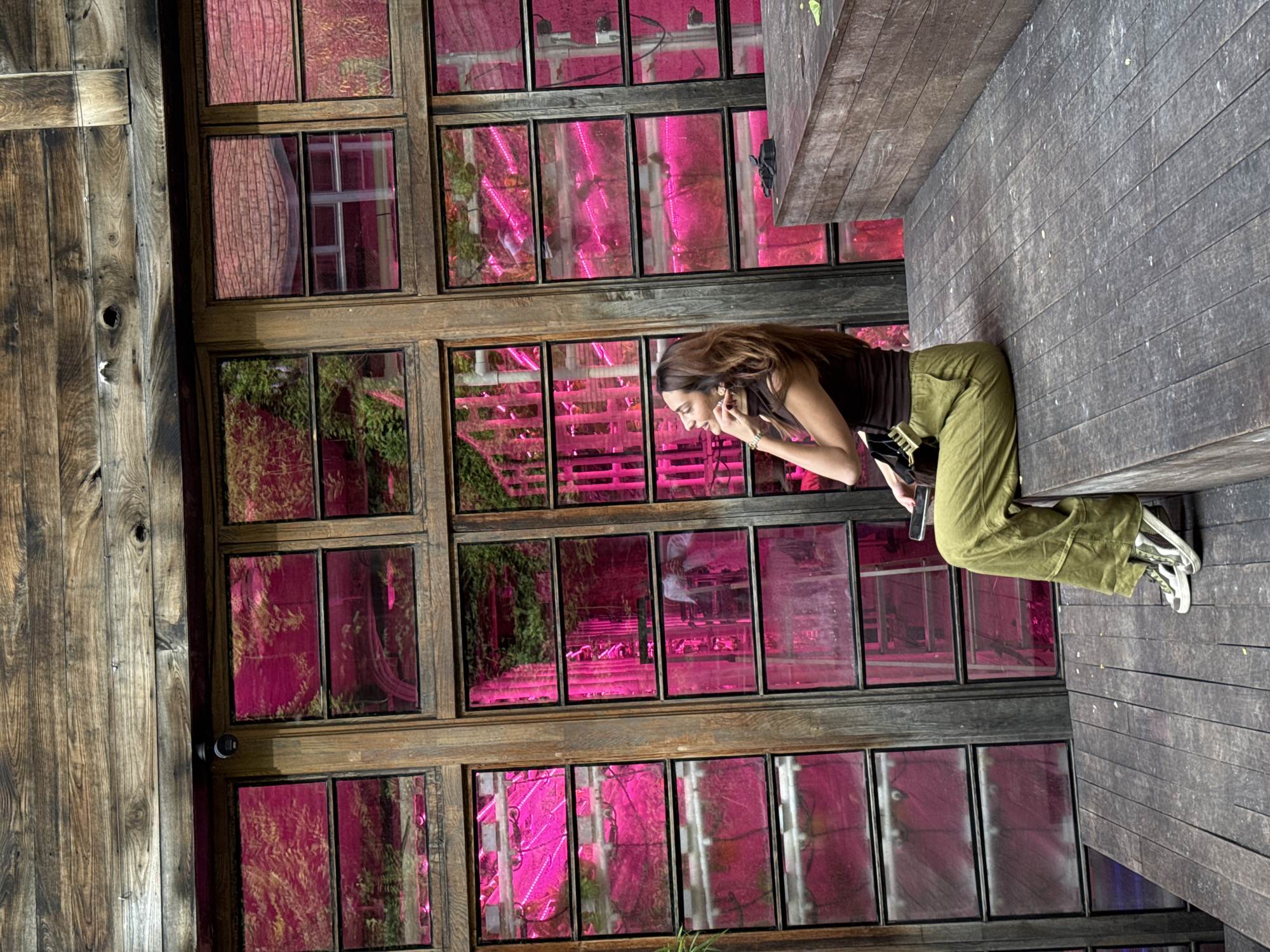 Early morning scenes captured around vine-covered Tbilisi courtyard
