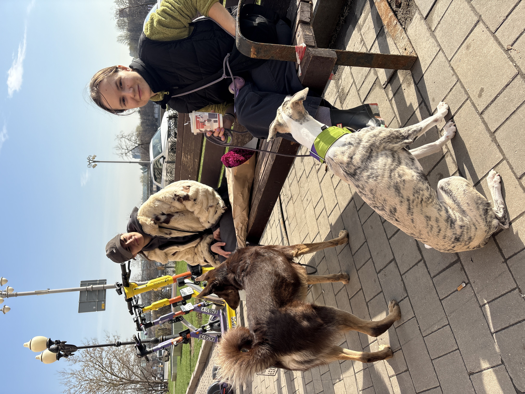Morning flower delivery to women with dogs in Moscow park