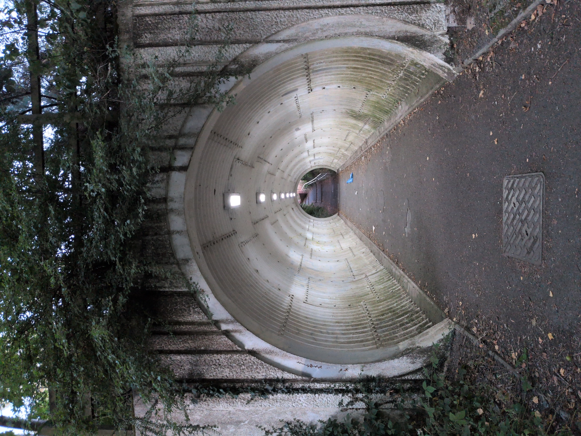 New builds, tunnels, and twilight paths around Dawley and Telford