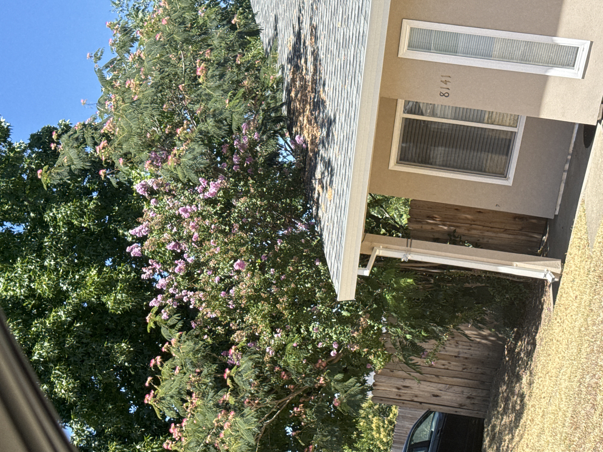 Summer afternoon in a quiet Fair Oaks neighborhood