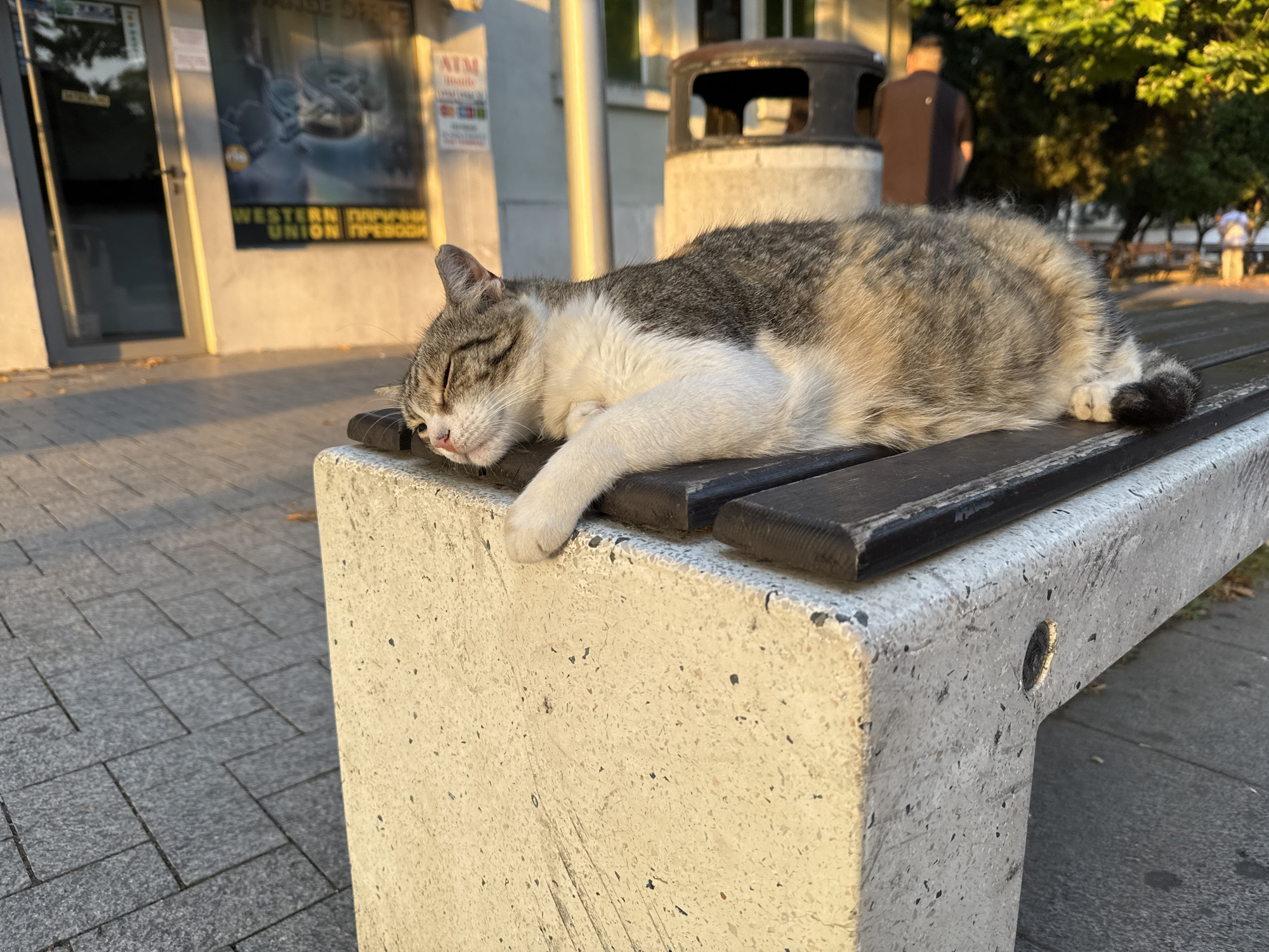 Varna's city center on a summer evening