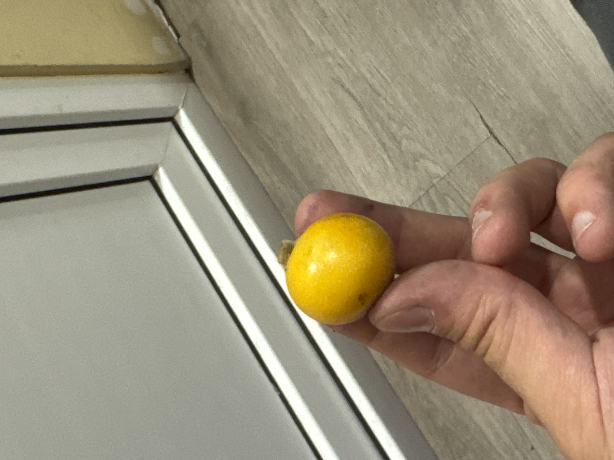Close-up fruit examination and van sticker in Tbilisi