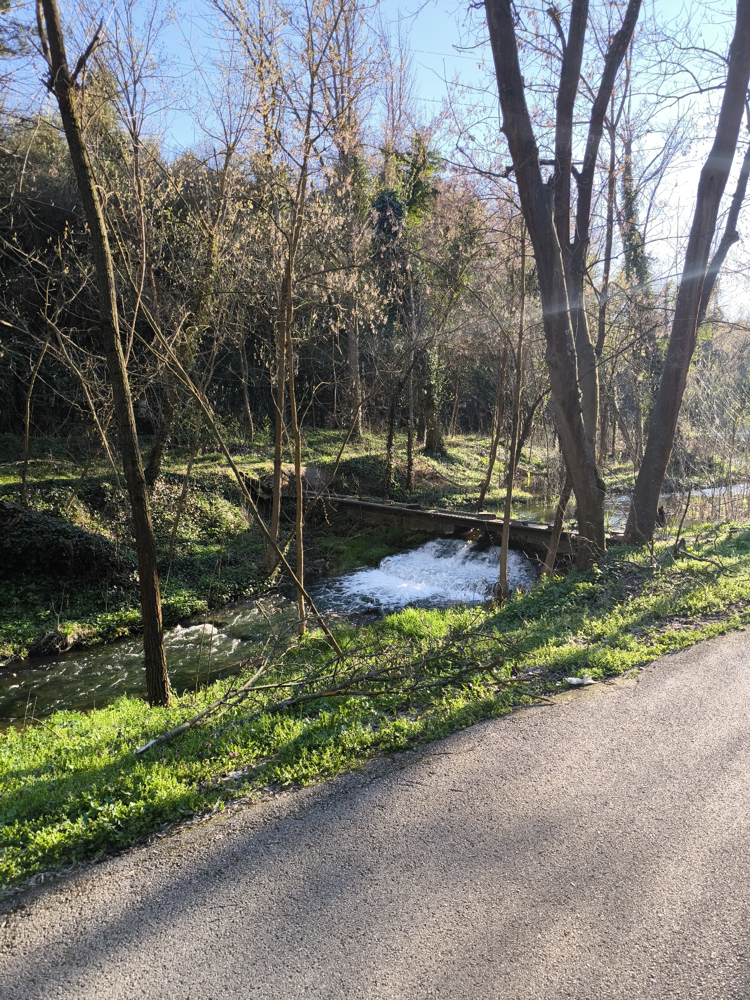 Spring waterway scene observed beneath concrete bridge in Pleven
