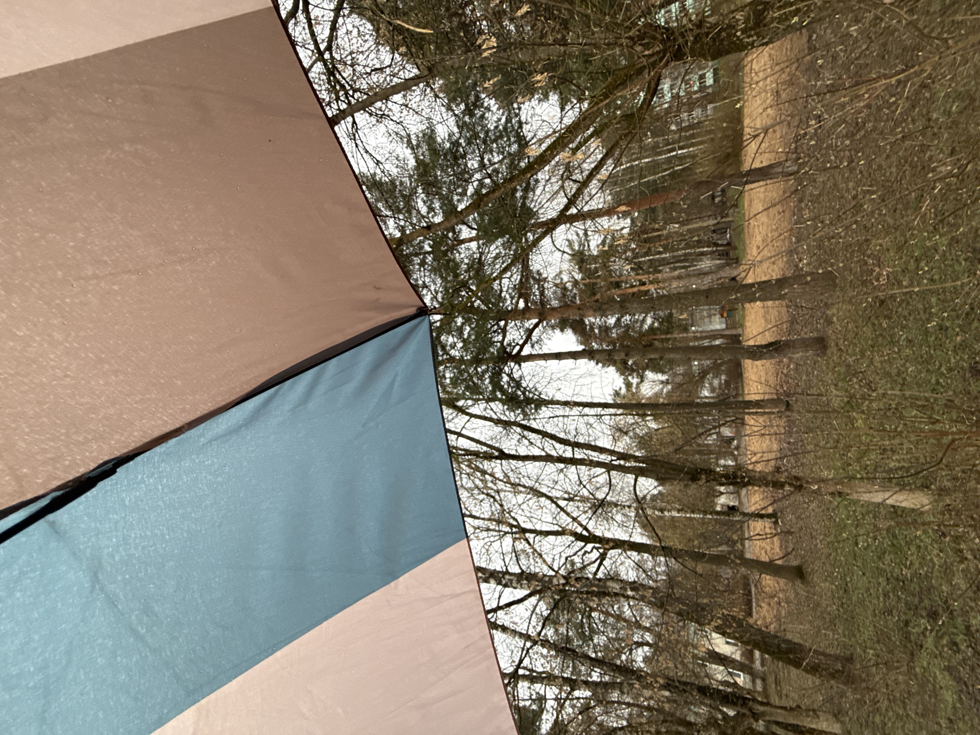 Umbrella view documented in Dmitrov, Russia