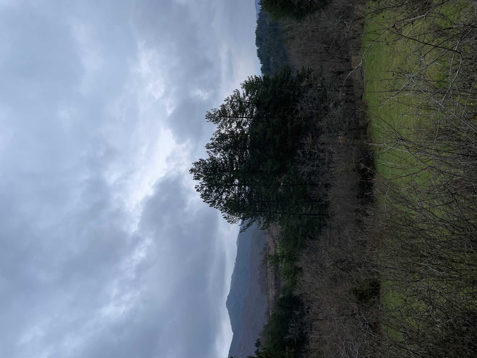 Overcast landscape captured near Zlatograd, Bulgaria