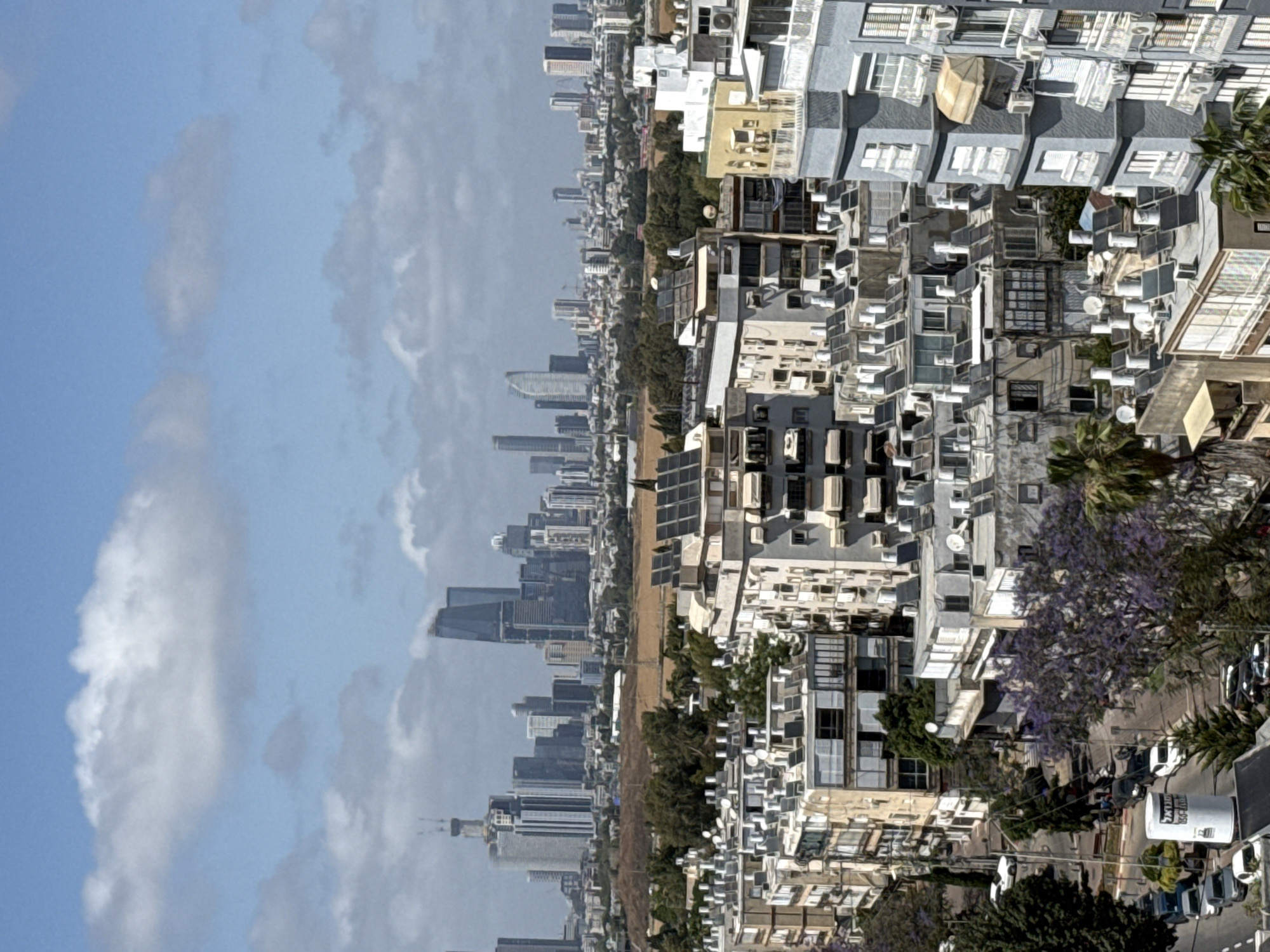Holon resident documents quiet morning with cat, flowers, cityscape