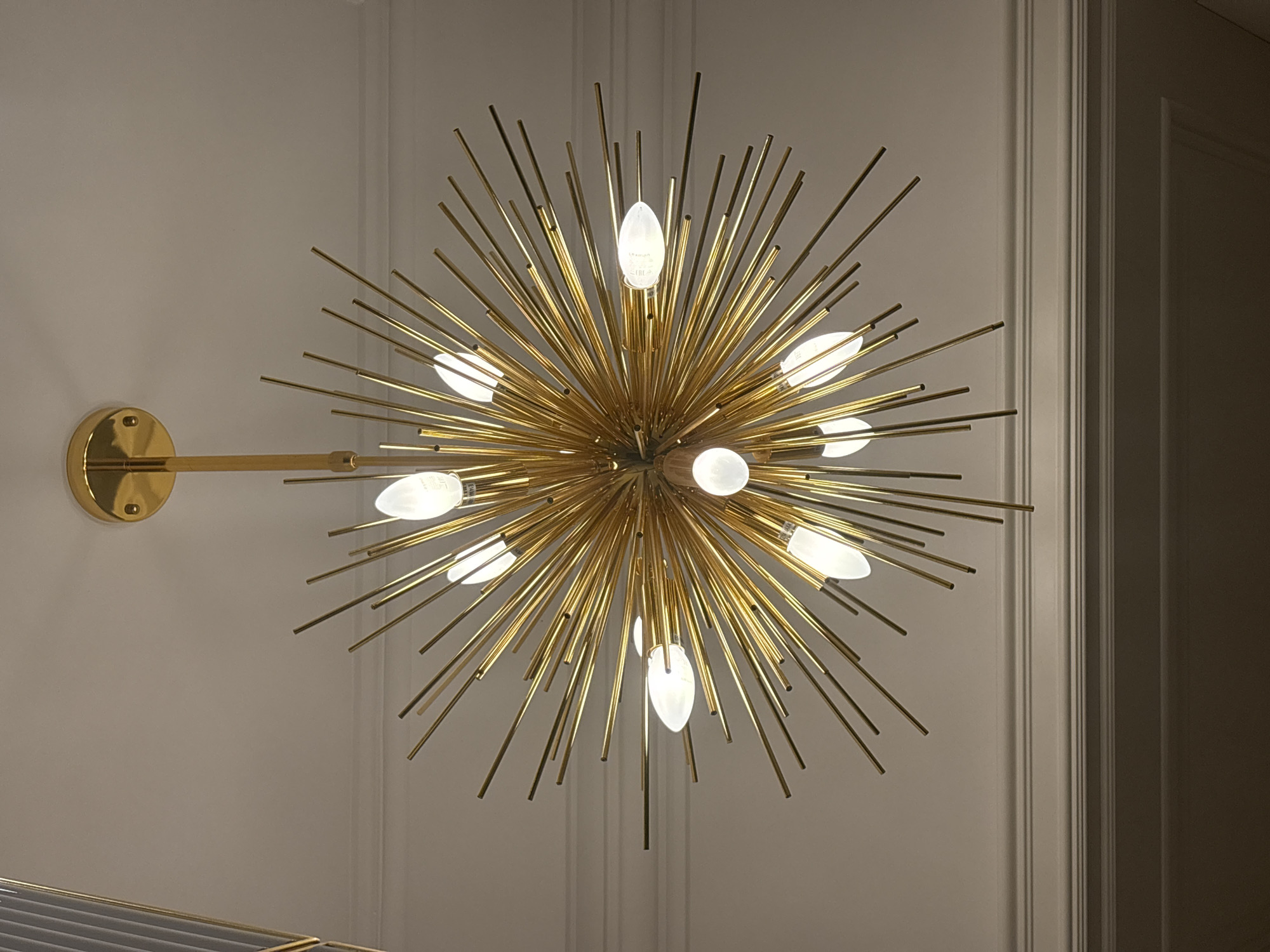 Moscow interior features gold fixtures and resting Siamese cat