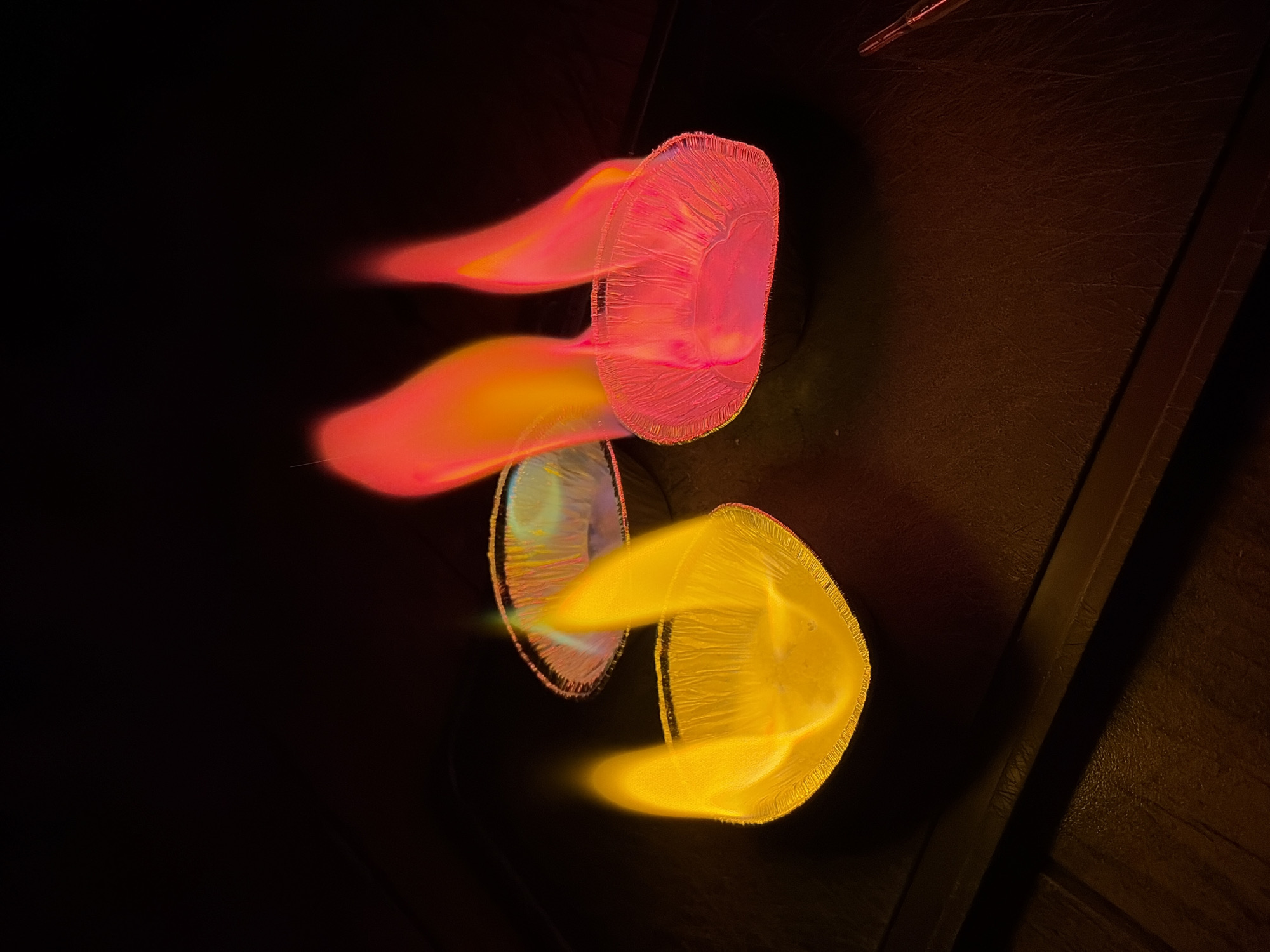 Colorful lights observed in triangular formation in Chaikovsky