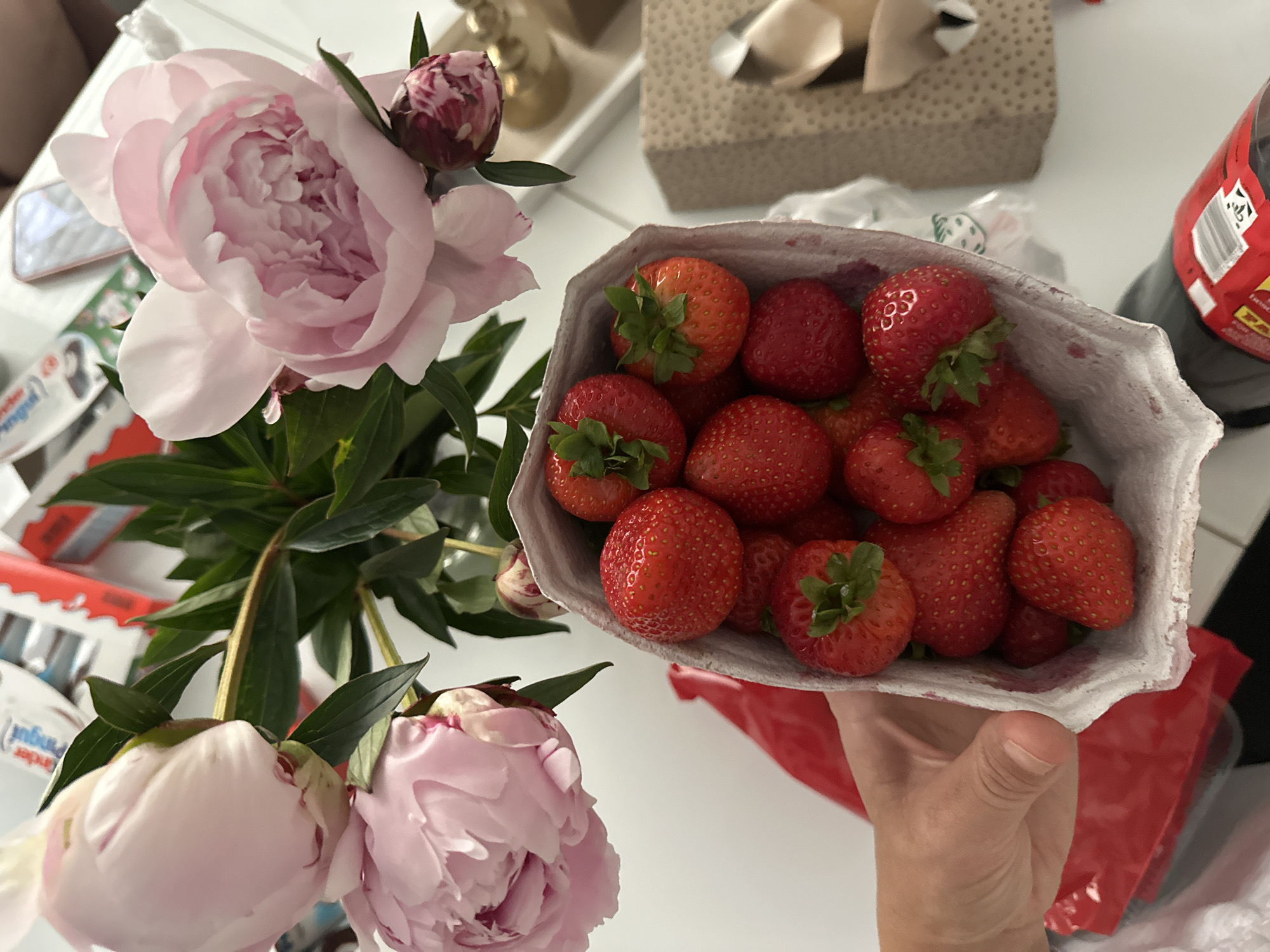 Morning routine with strawberries and peonies documented in Kutenholz