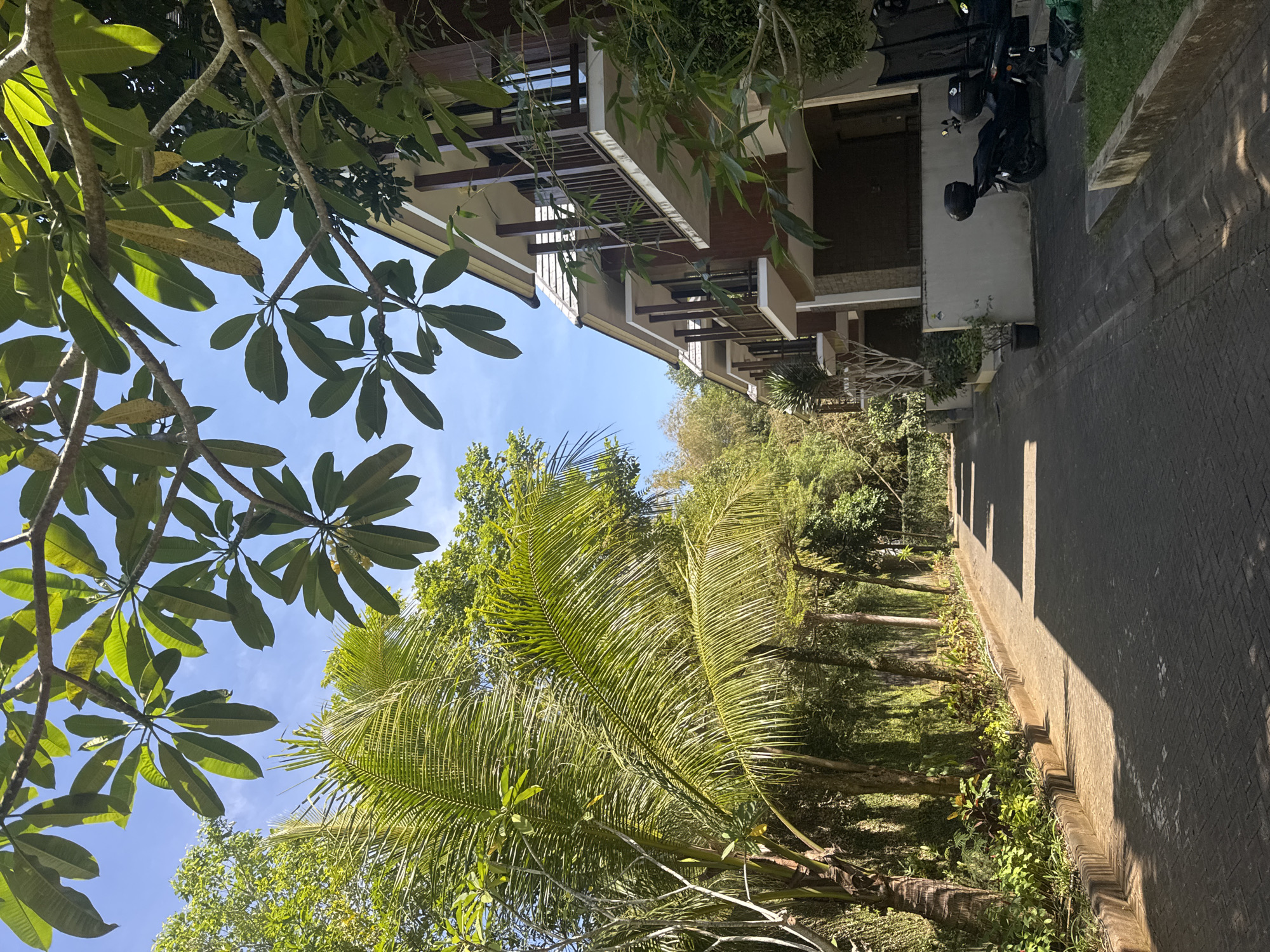 Ivy-covered walls and frangipani along a Kuta Selatan walkway