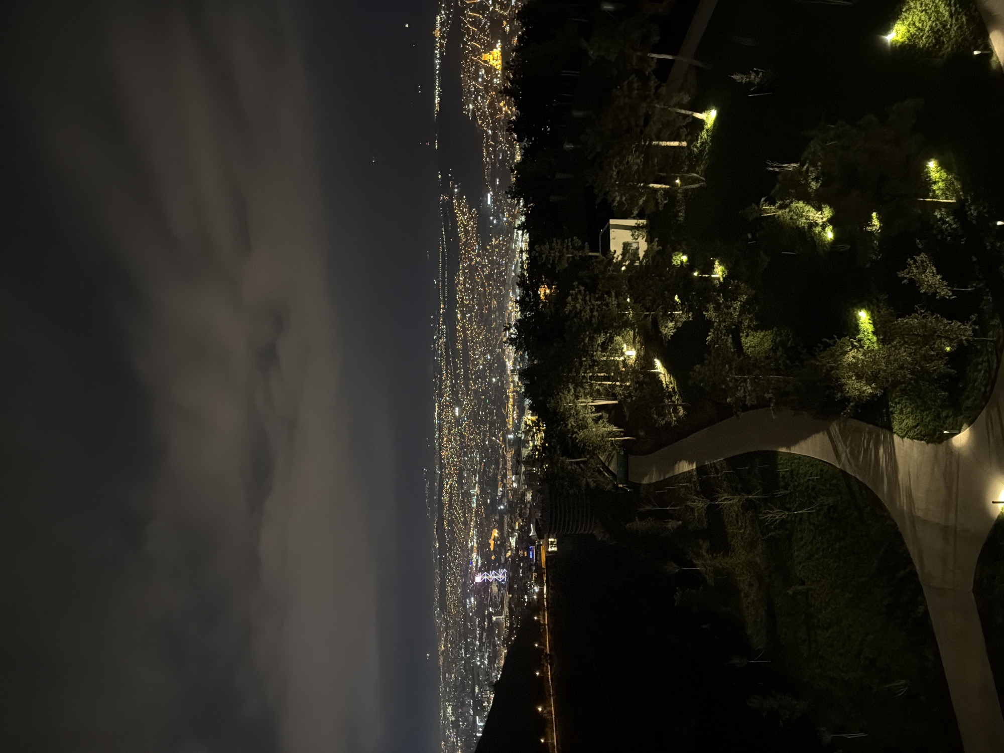 Nighttime cityscape of Tbilisi with lights and park area