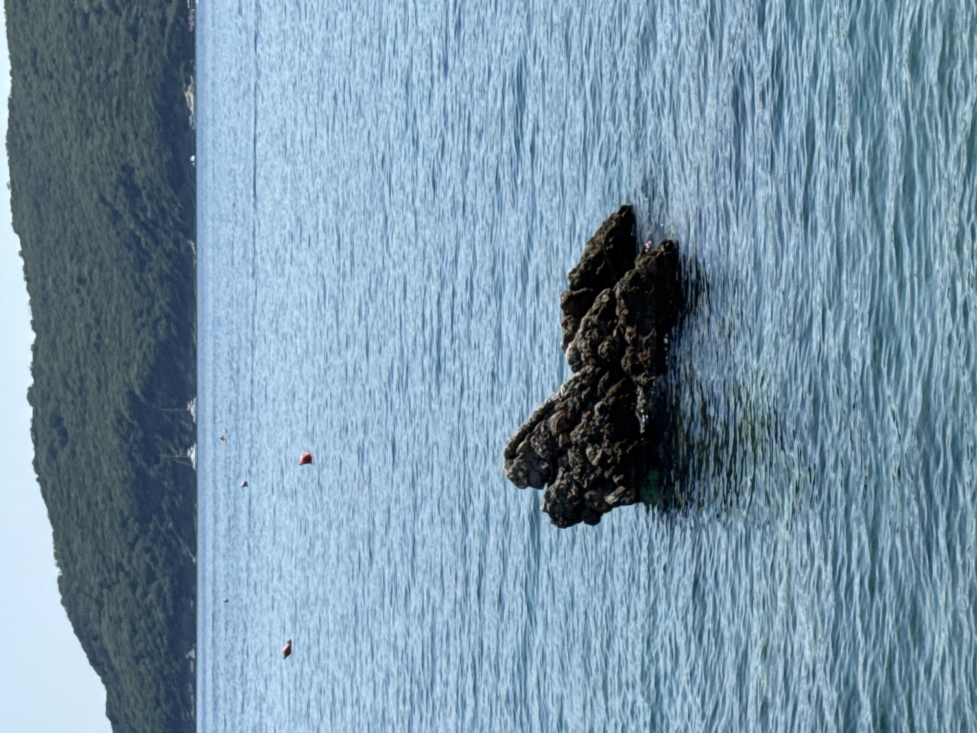 Budva's rocky Adriatic bay on a calm summer afternoon