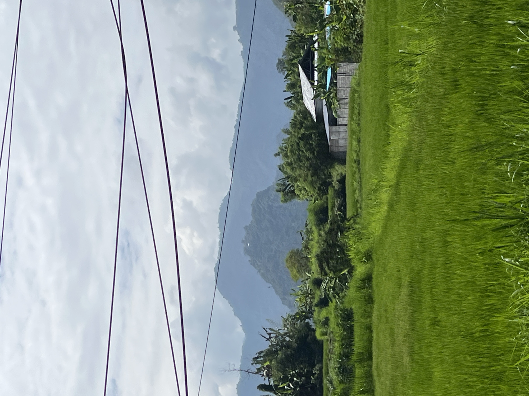 Rice paddies, temple hilltops, and shaded roads in Dawan, Bali