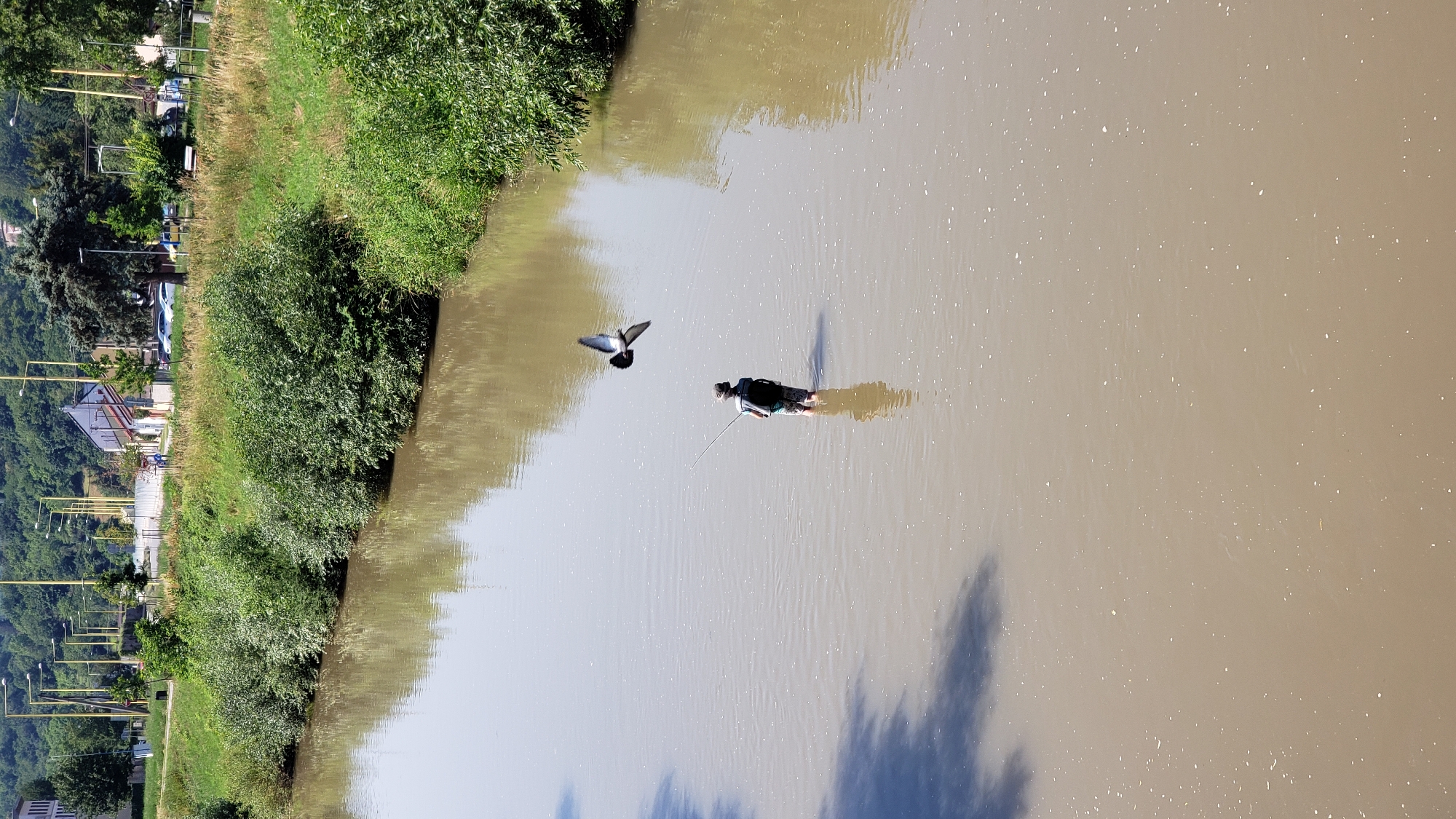 Summer morning on Prešov's rivers and bike paths