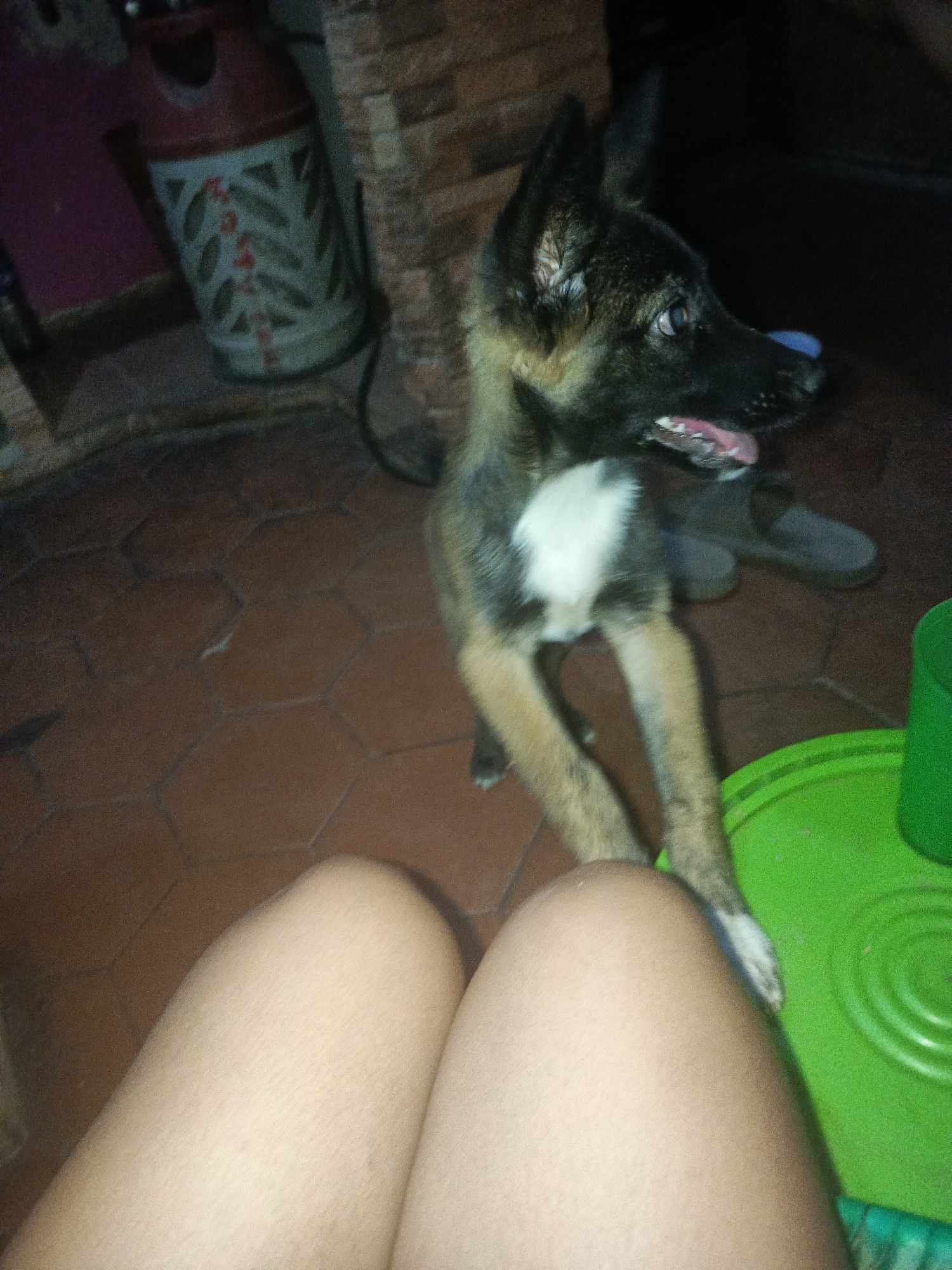 Woman enjoys early morning beer with dog in Juan Griego