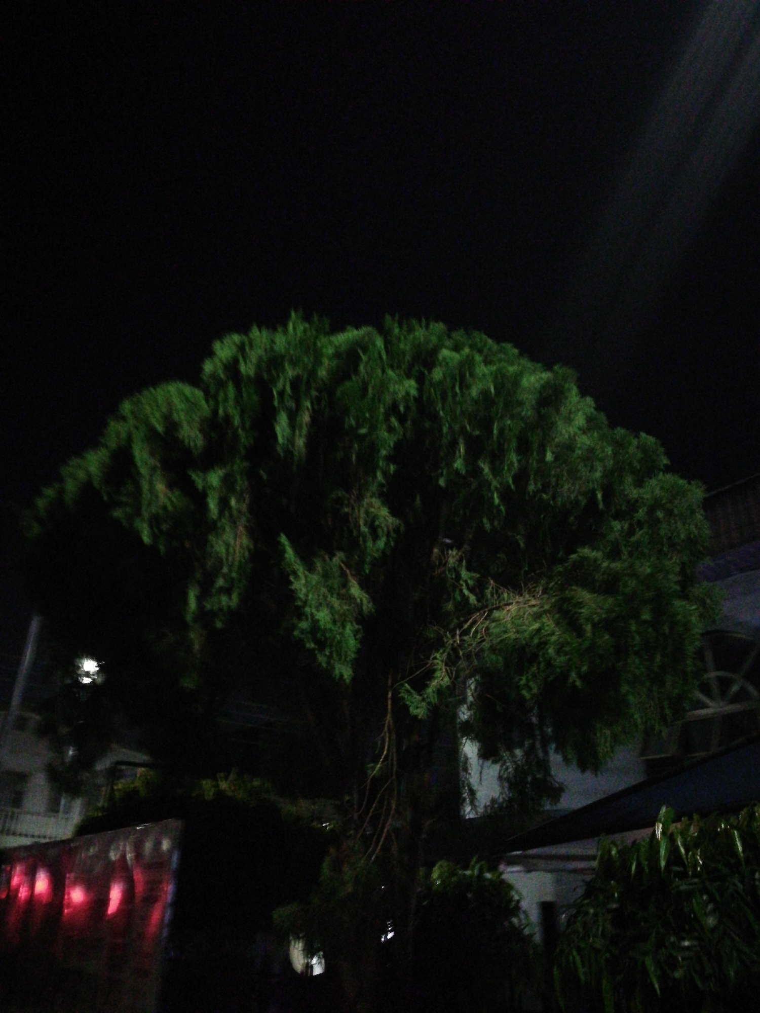 Anonymous witness captures Lagos nightlife in 30-memory sequence