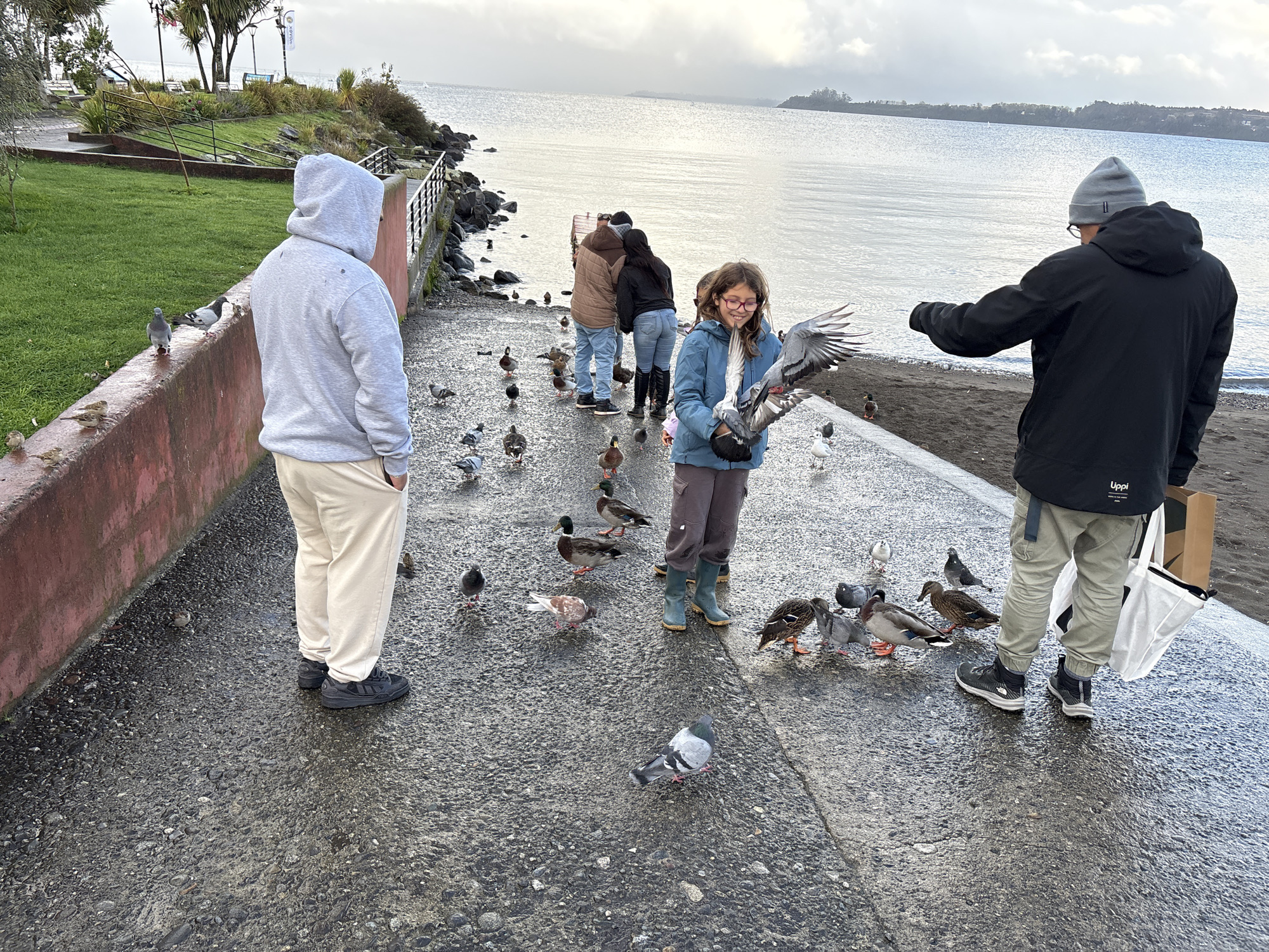 People feed birds along Puerto Varas lakefront during overcast day
