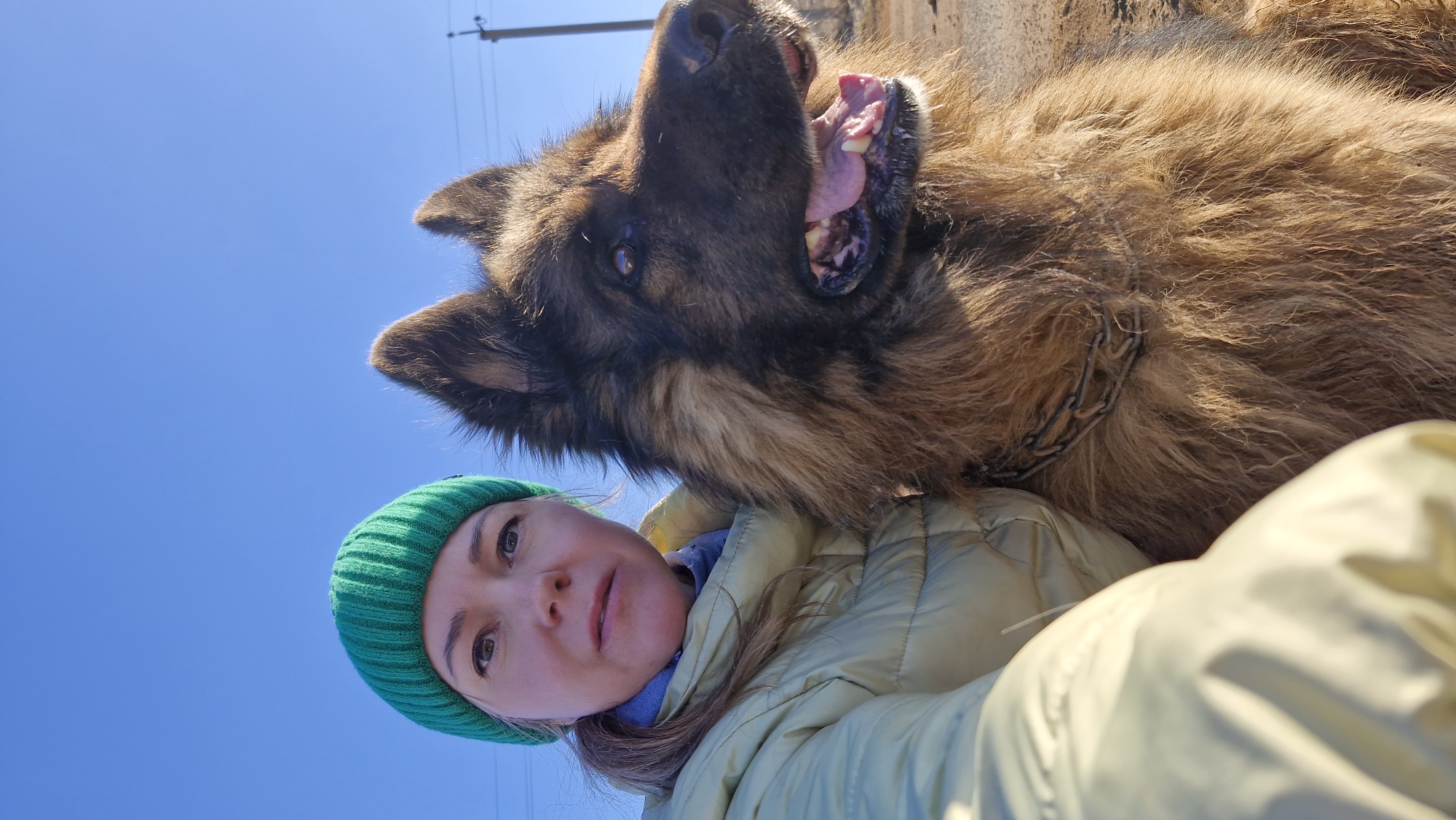 Woman, dog, motorcyclists, and fireplace captured in afternoon moments