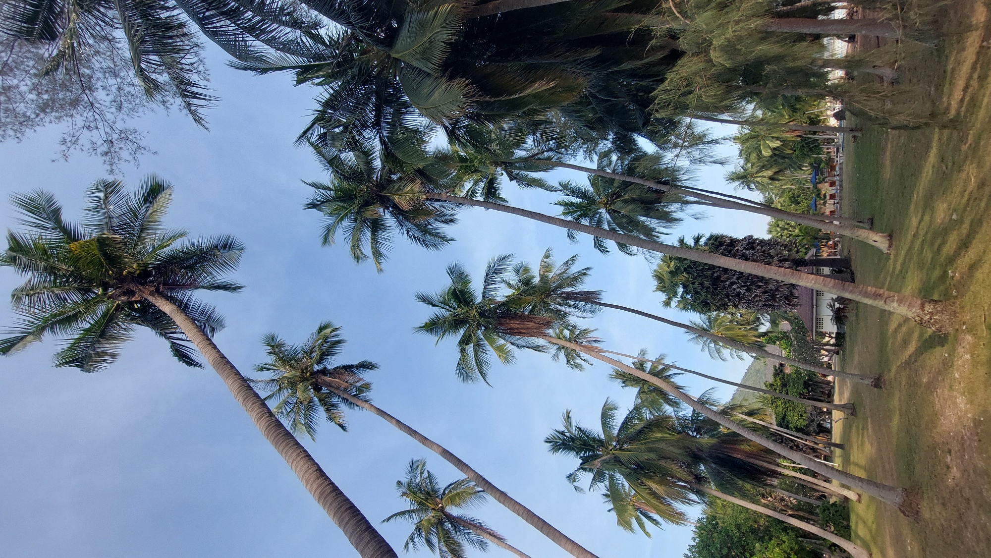 Morning coastal scenes documented in Ko Samui, Thailand